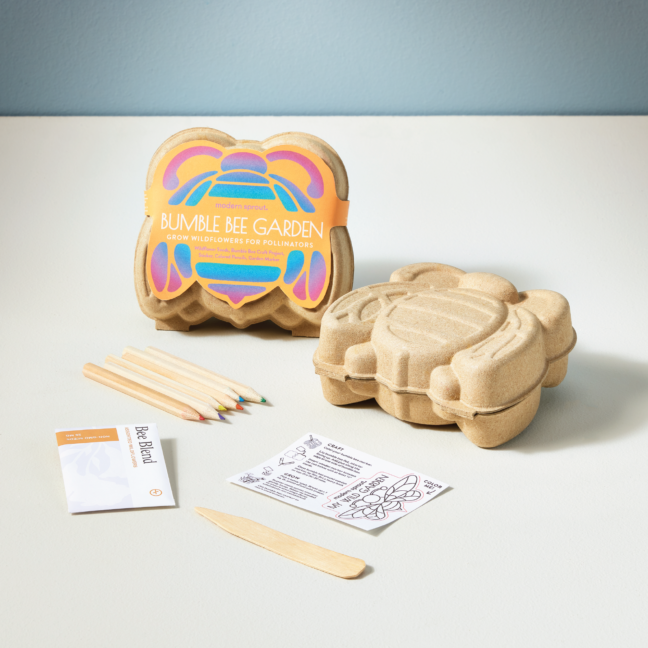 Website-CuriousCritters-Assets-07.png