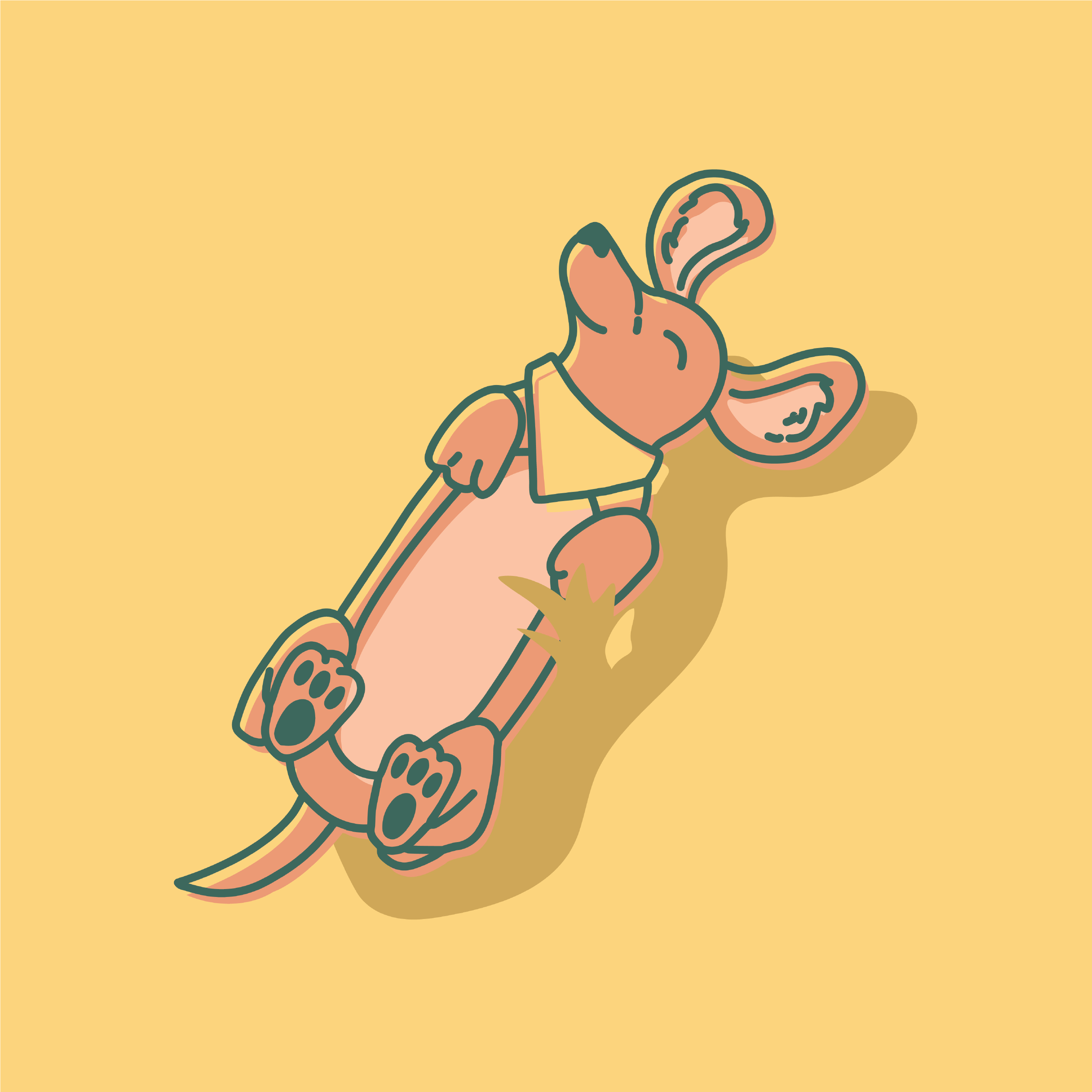 Portfolio-PetTinyTerraAssets1-14.png