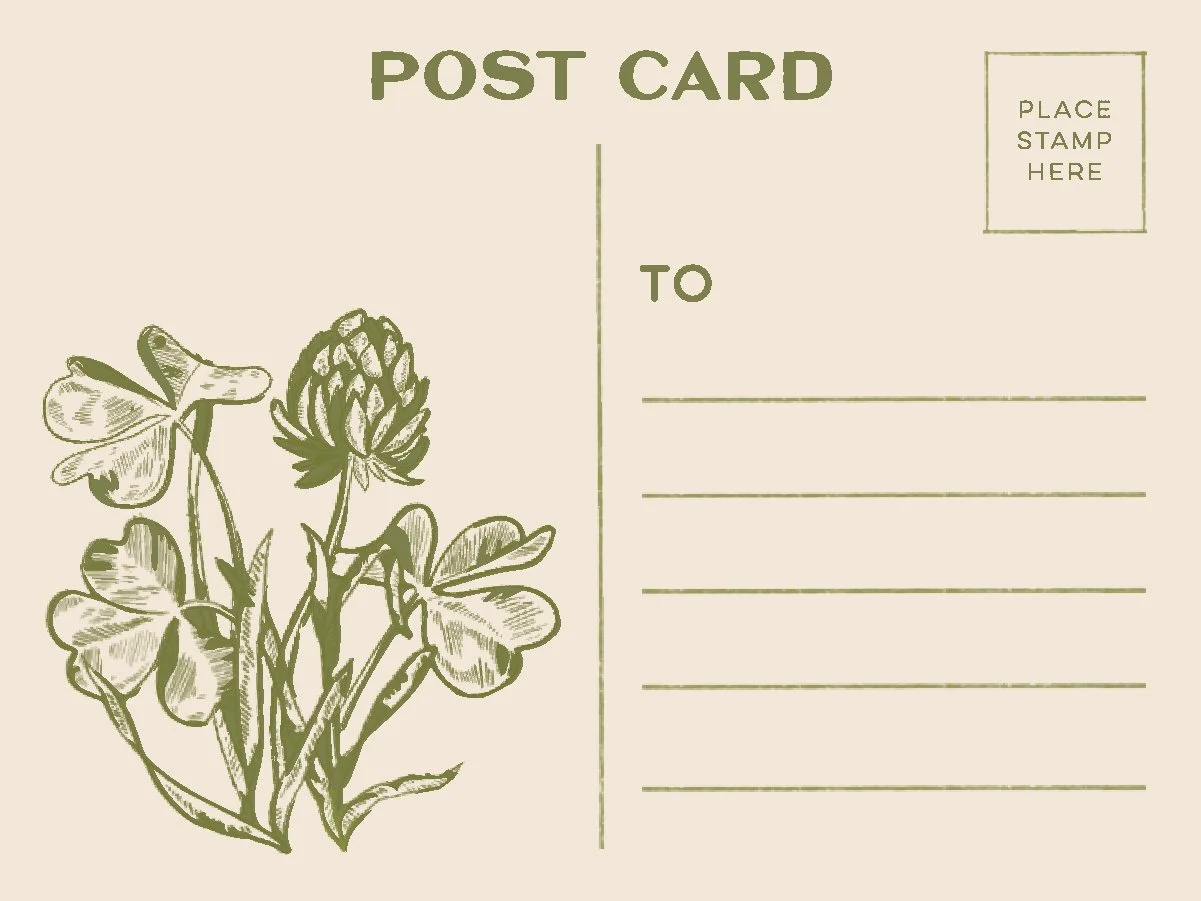 Postcard-Back.jpg