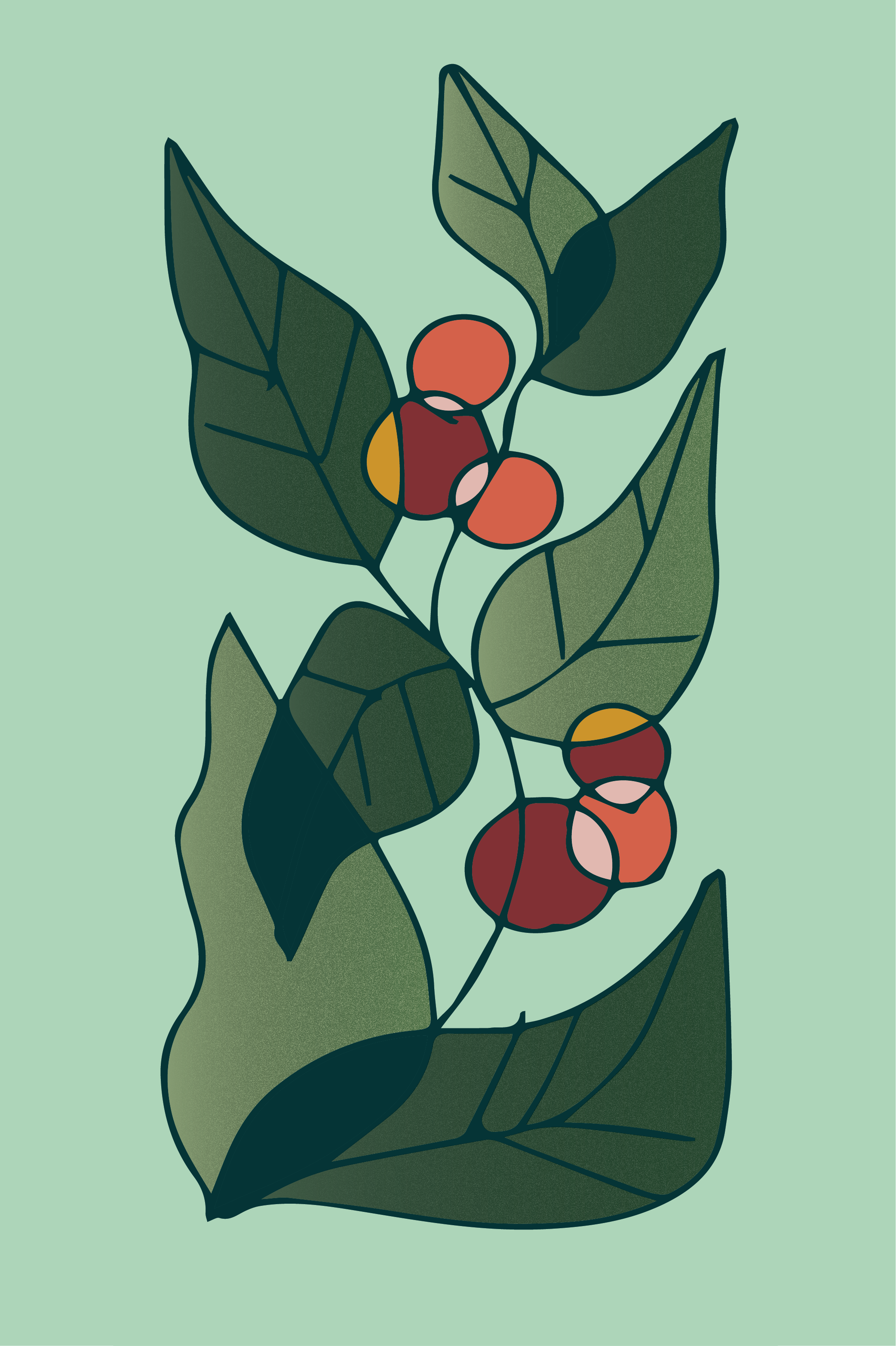 Website-Illustration-11.png