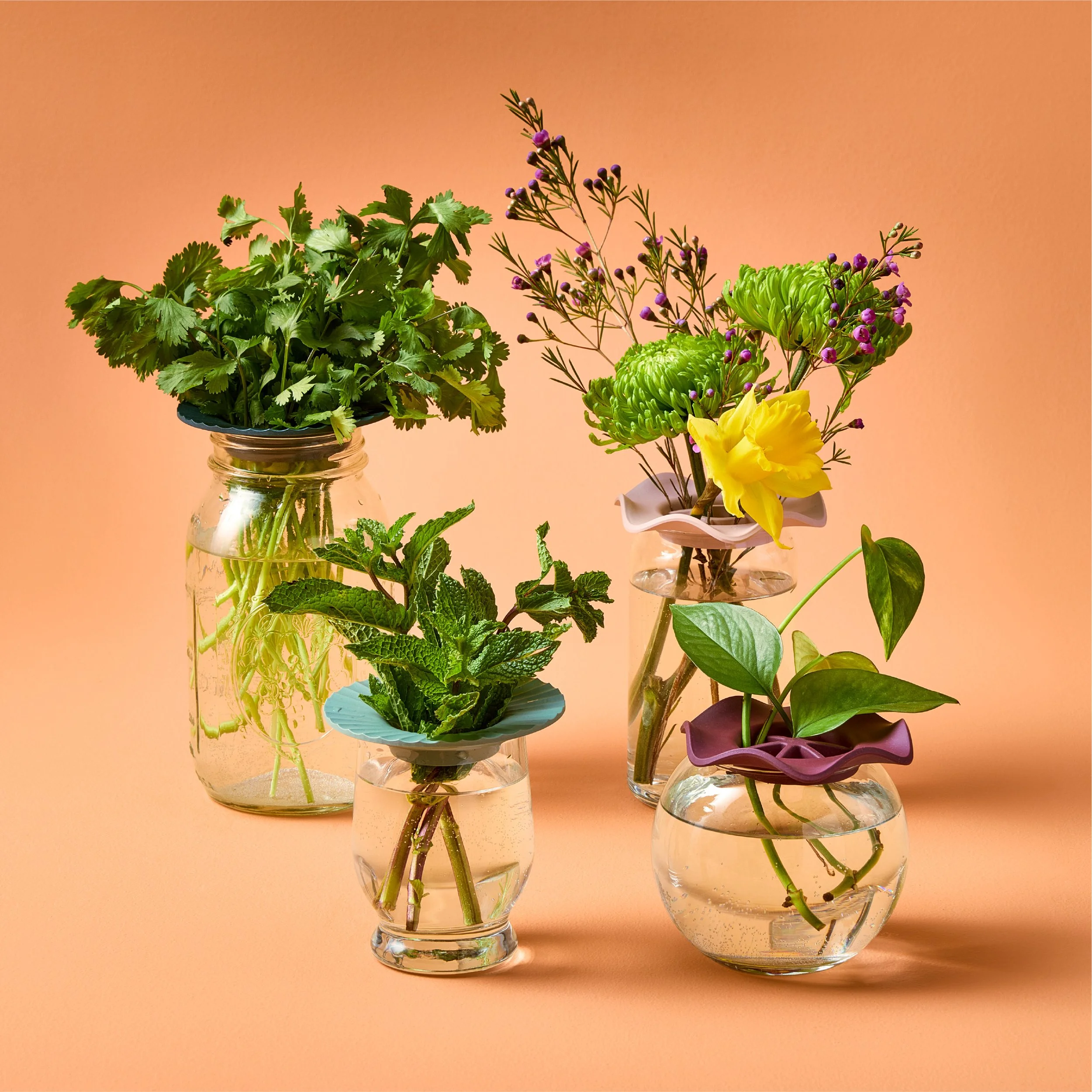 Portfolio-GardenKeepersAssets-04.jpg