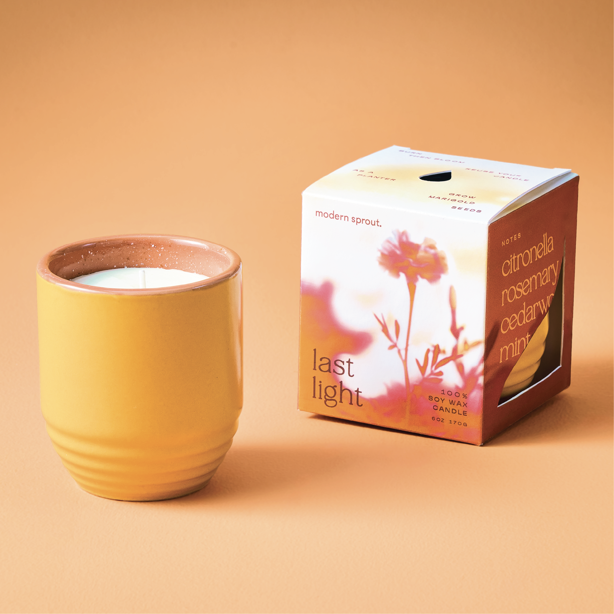 Website-GardenVibes-Assets-01.png