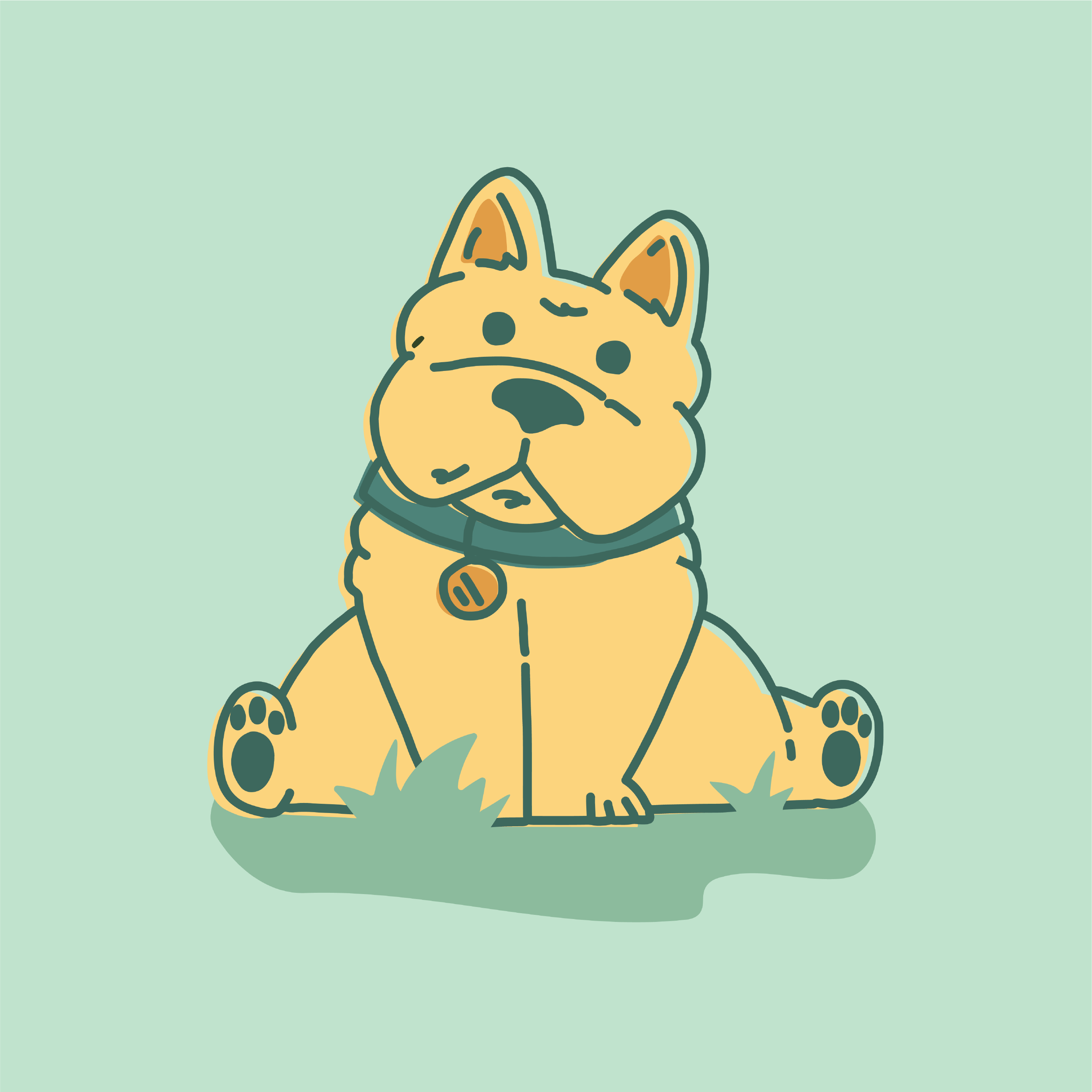 Portfolio-PetTinyTerraAssets1-12.png