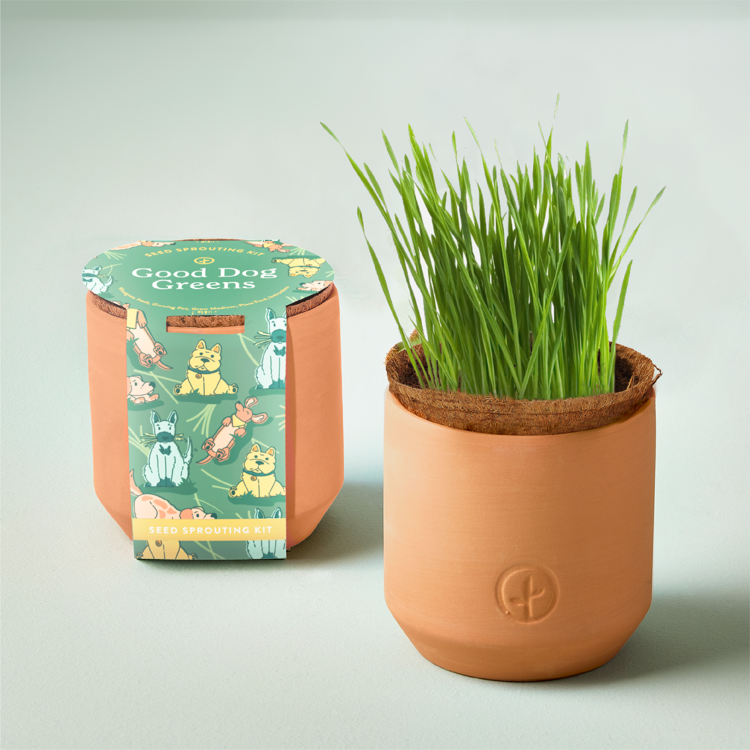 Pet Tiny Terracotta Grow Kit