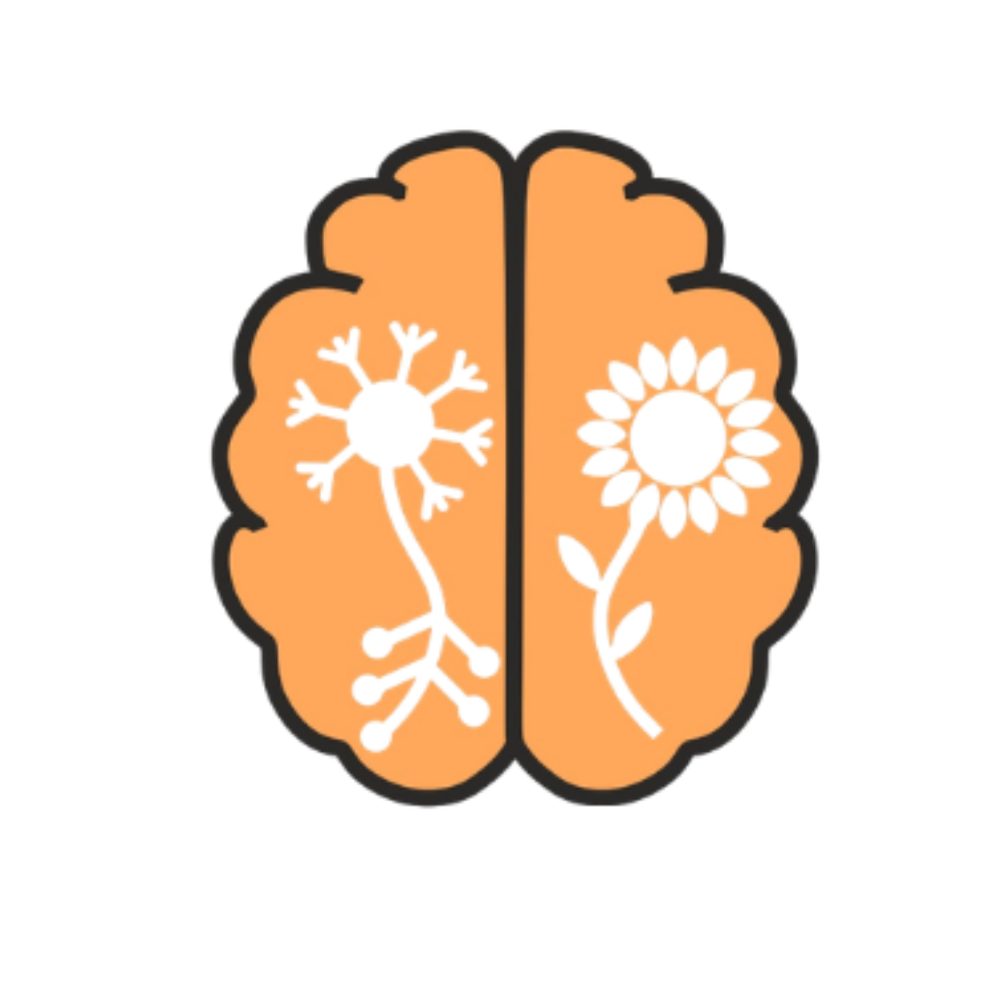 Ilustração do cérebro humano com destaque nos neurônios e suas conexões.