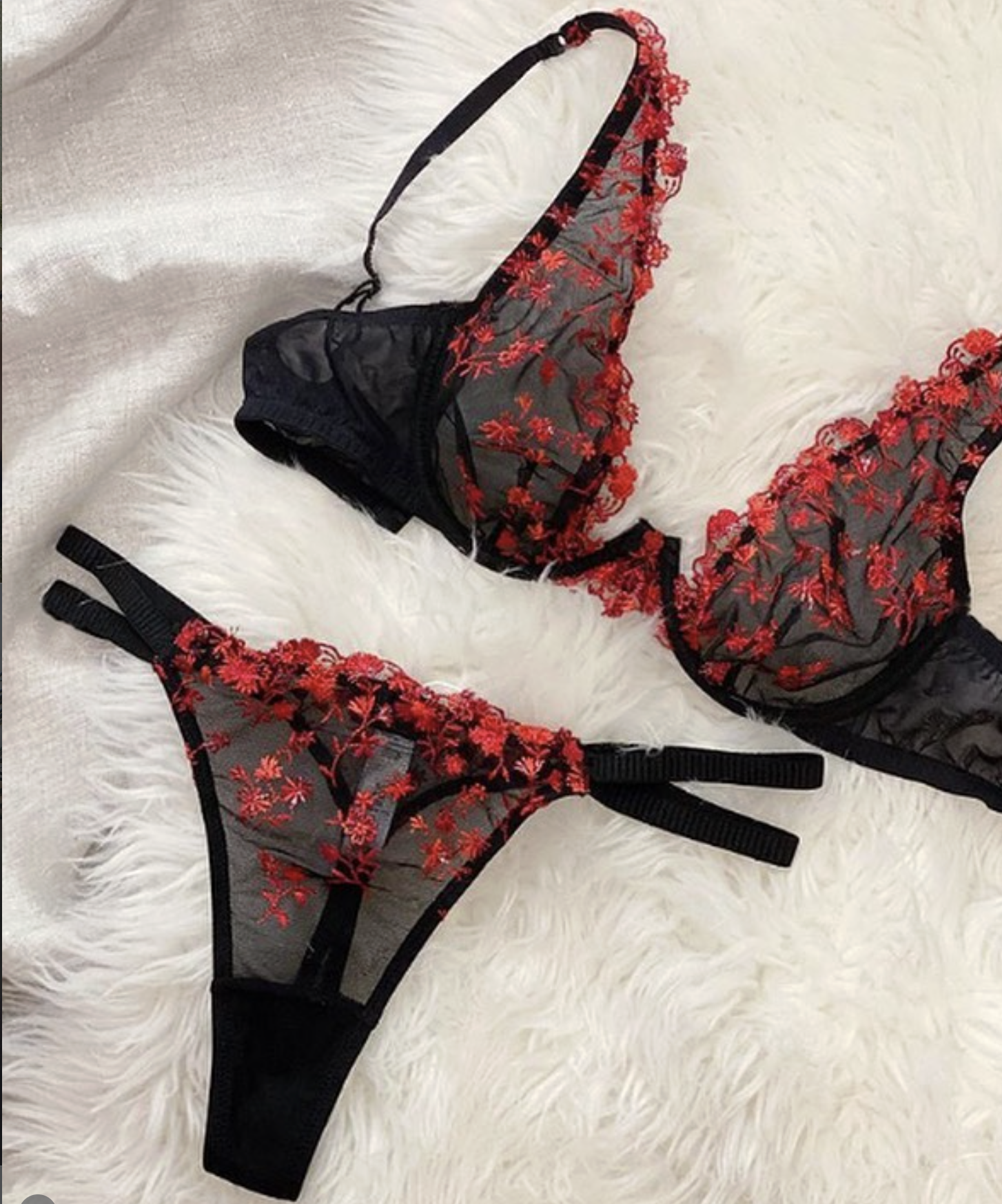 Screenshot 2026-02-25 at 6.27.46 PM.png