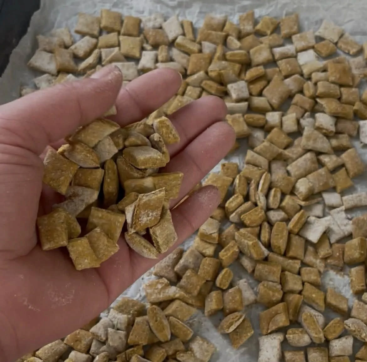 Mellow Bites for Cats | 2mg