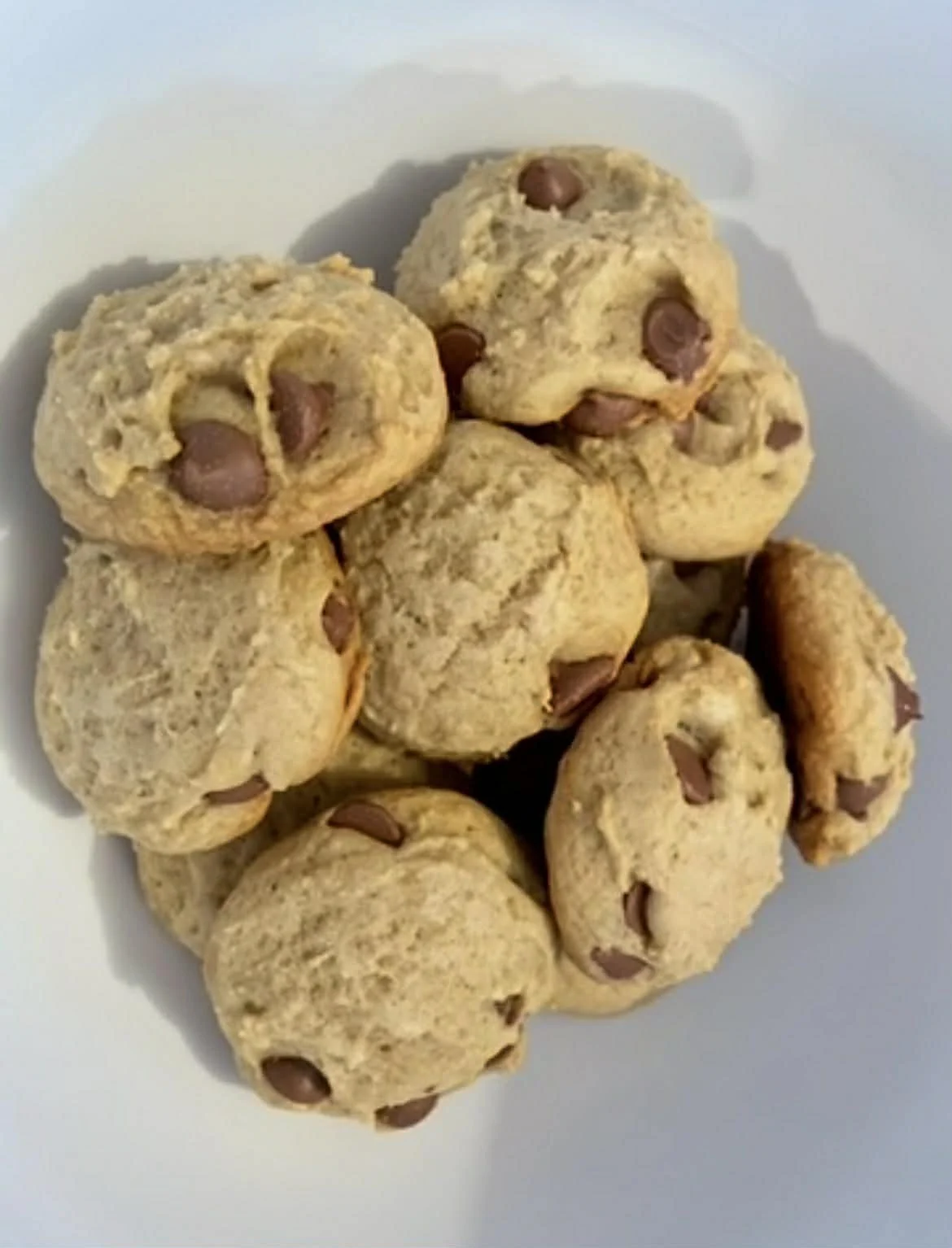 choc chip cookie2.jpg
