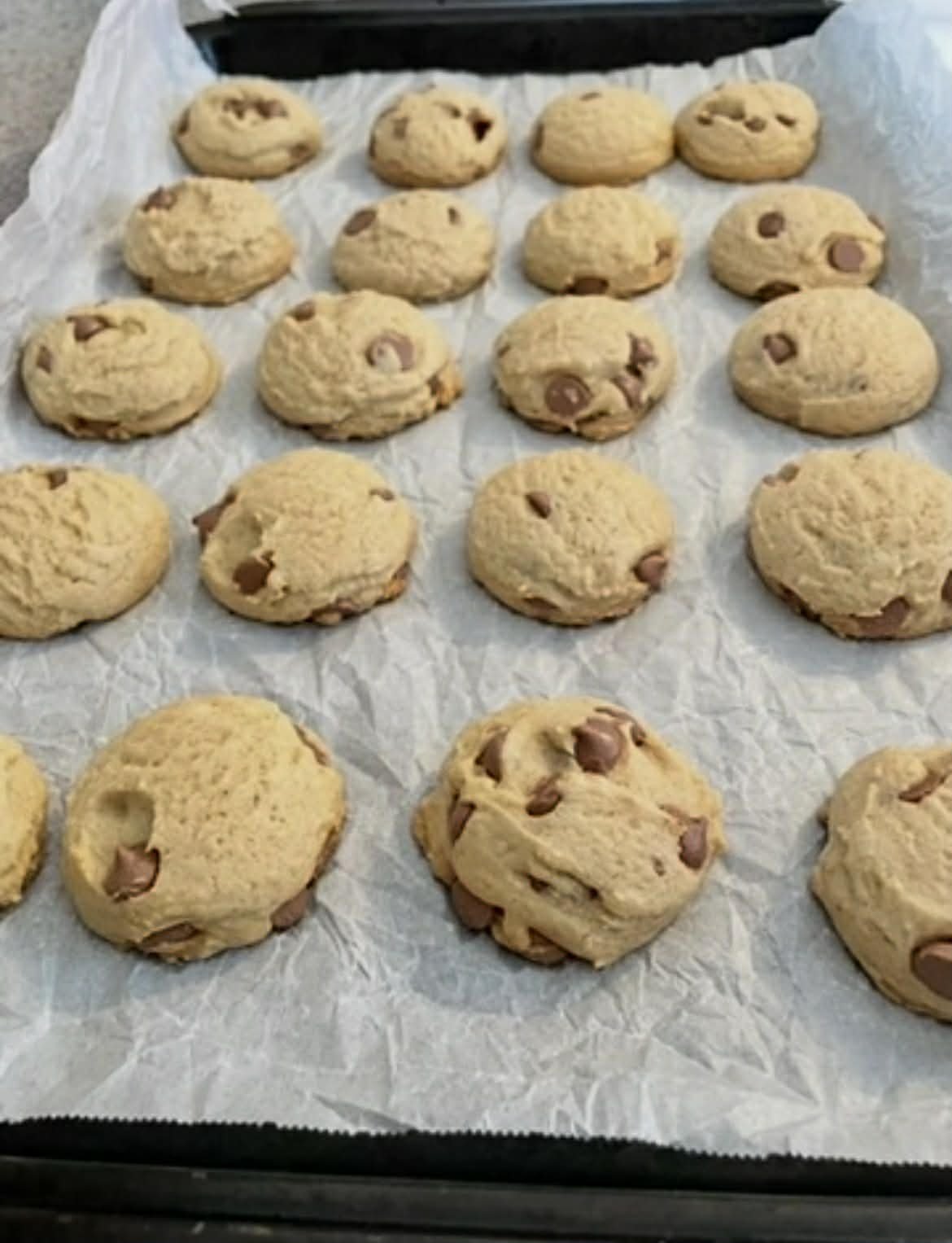 choc chip cookie.jpg