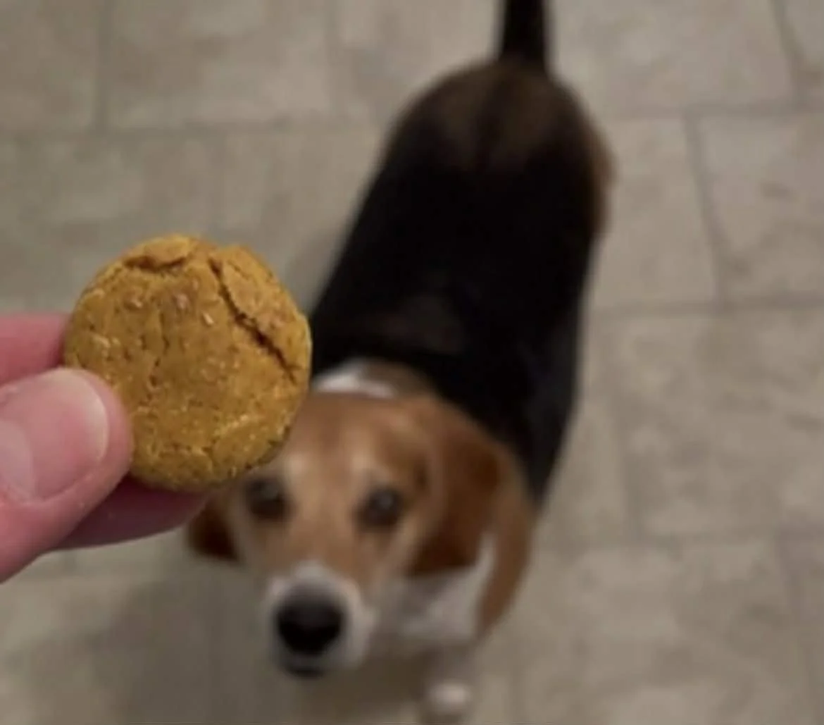 Chill Biscuits for Dogs | Non-CBD
