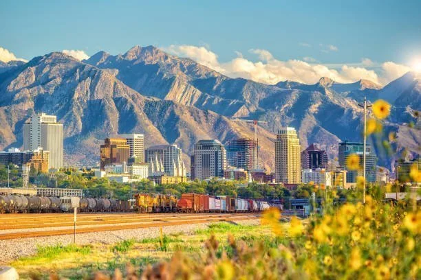 City skyline with tall buildings and mountains in the background, train tracks with freight train cars in the foreground, and yellow flowers in the lower right corner.