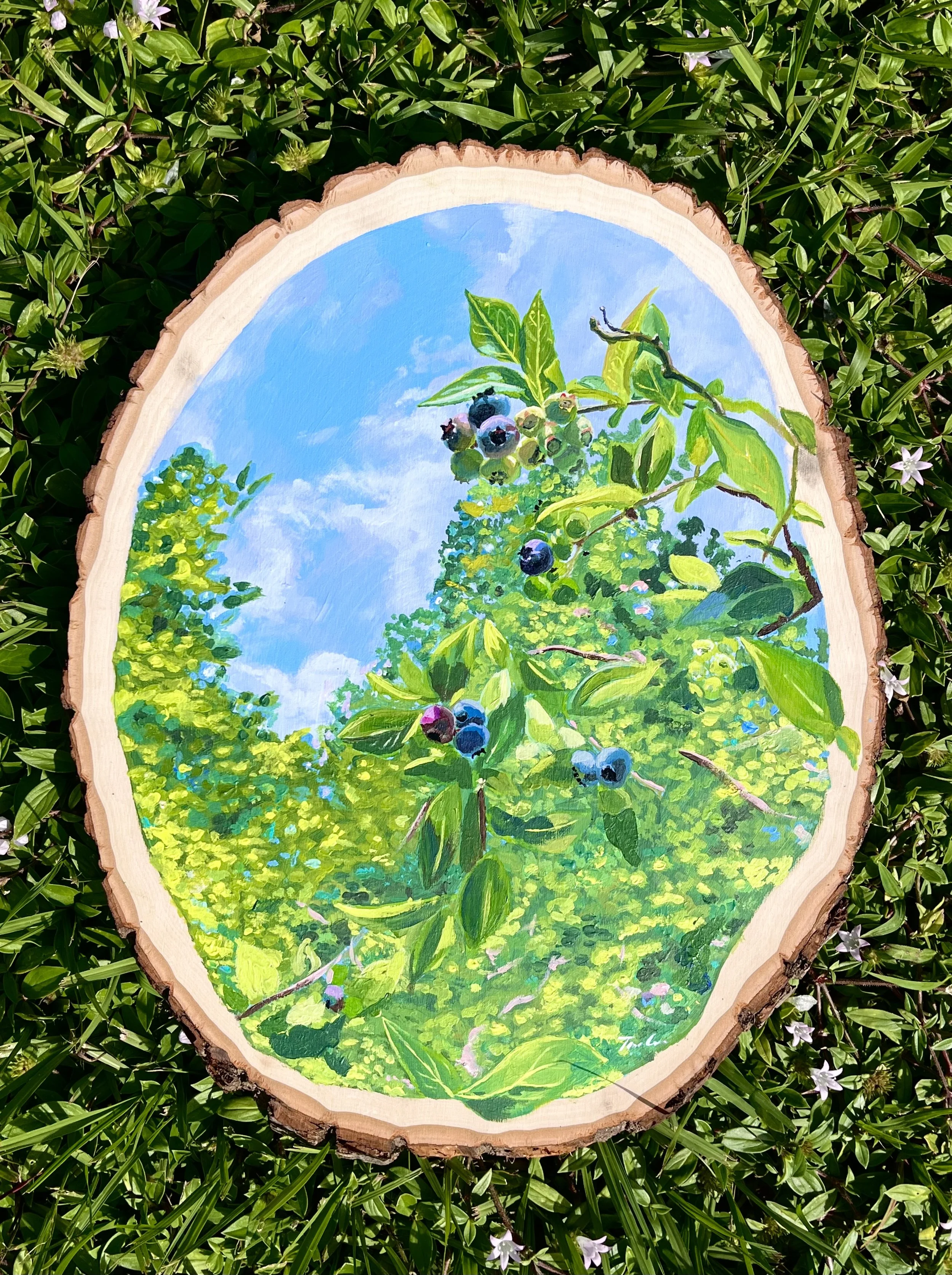 A circular painted scene on a wood slice depicts a blueberry bush with green leaves and ripe blueberries against a bright blue sky with wispy clouds.