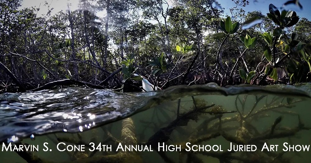A split view of a swamp scene, showing water with submerged roots and plants, and trees and bushes on the shoreline above water.