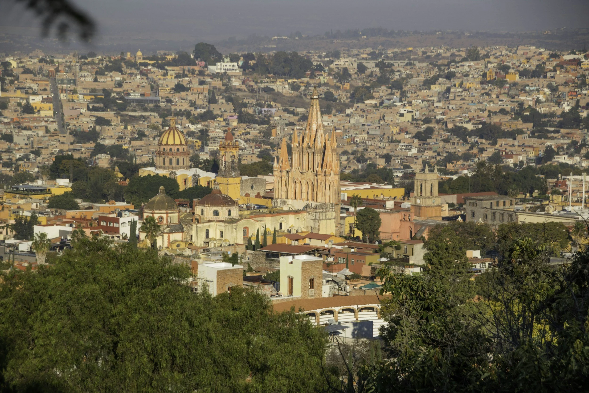 A cityscape featuring a prominent pink Gothic-style cathedral with tall spires, surrounded by various colorful buildings and trees in the foreground, with an expansive urban area in the background.