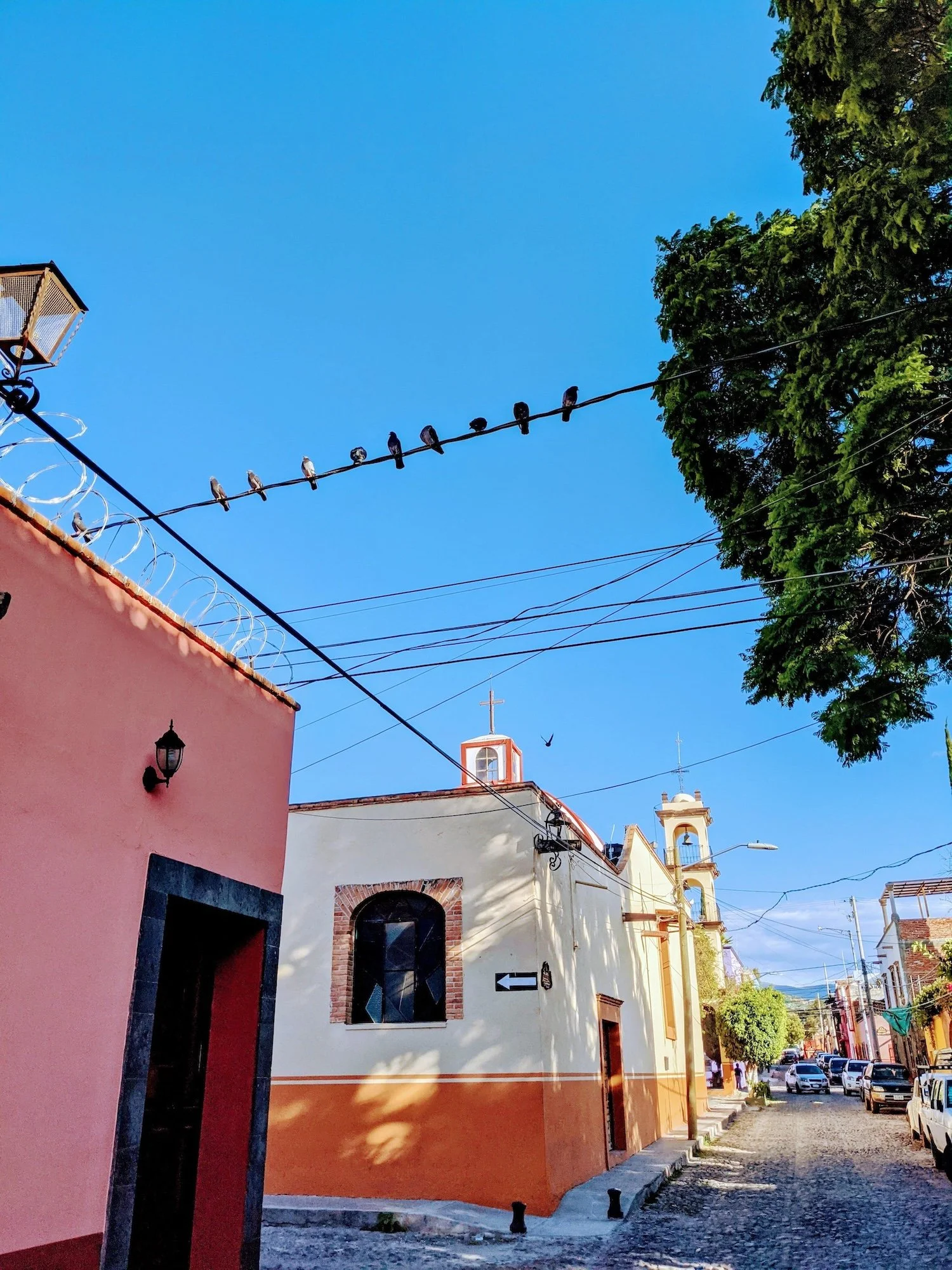 Colorful street view with buildings painted in pink, yellow, and white under a bright blue sky; street is cobblestone with parked cars; birds are perched on wires and one is flying.