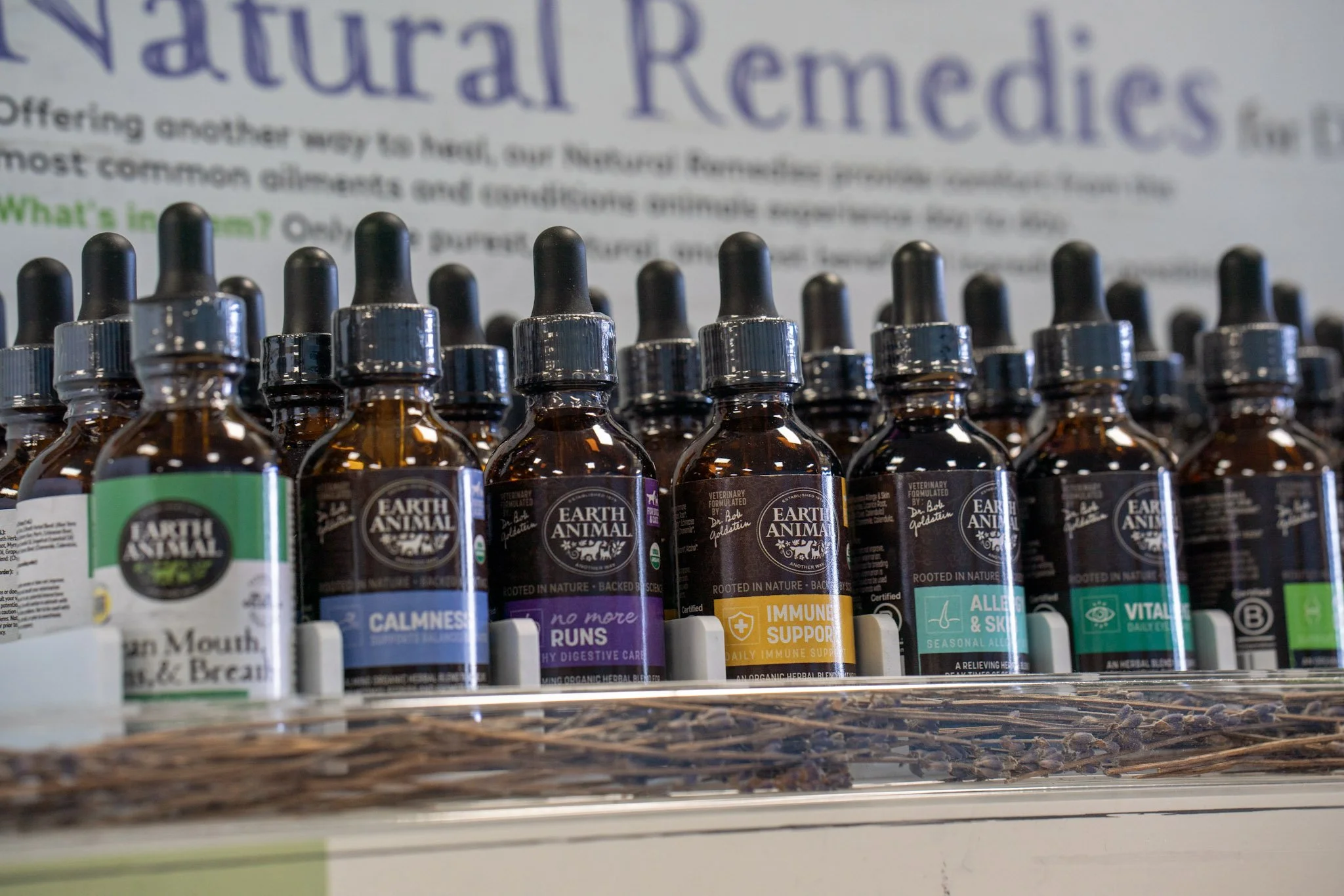 Natural remedies for dogs