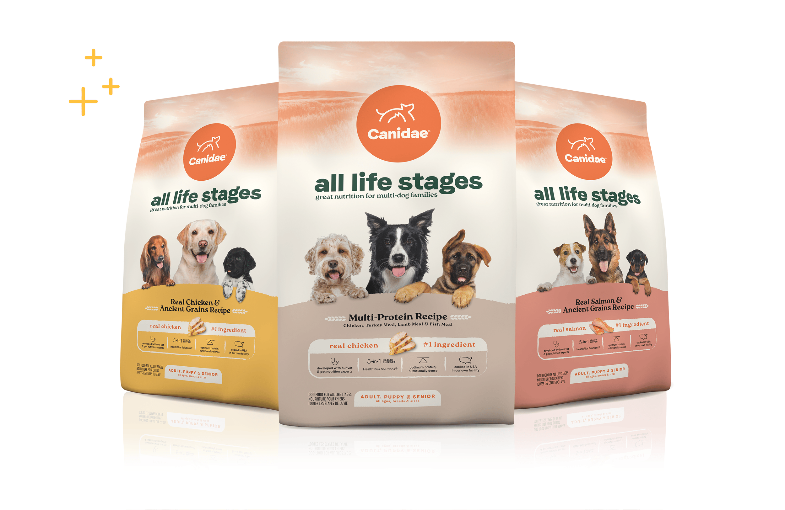 Three bags of Canidae all life stages dog food showing different flavors and featuring images of various dogs on each bag