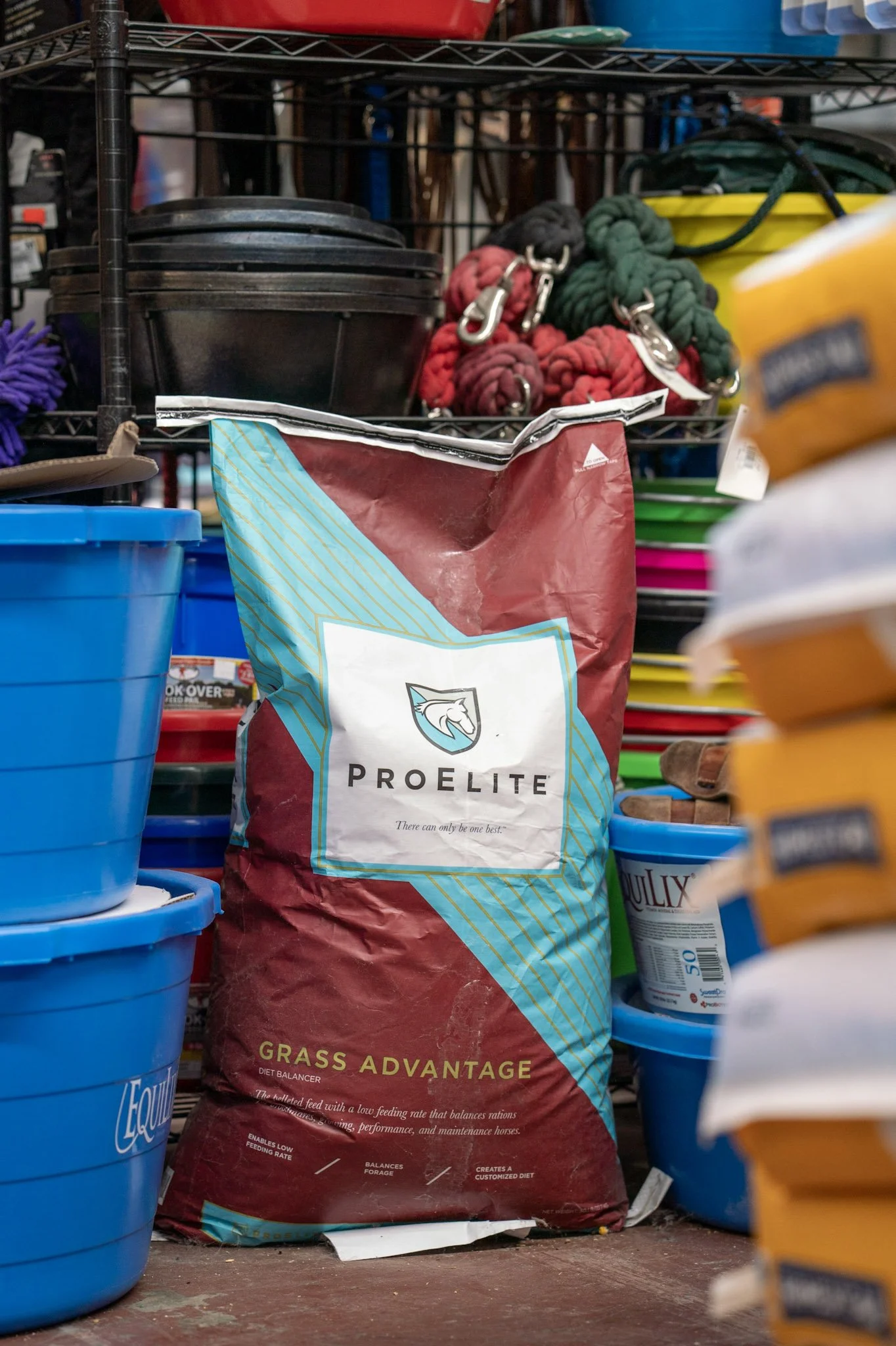 A bag of ProElite Grass Advantage horse feed surrounded by blue and yellow buckets on a store shelf.