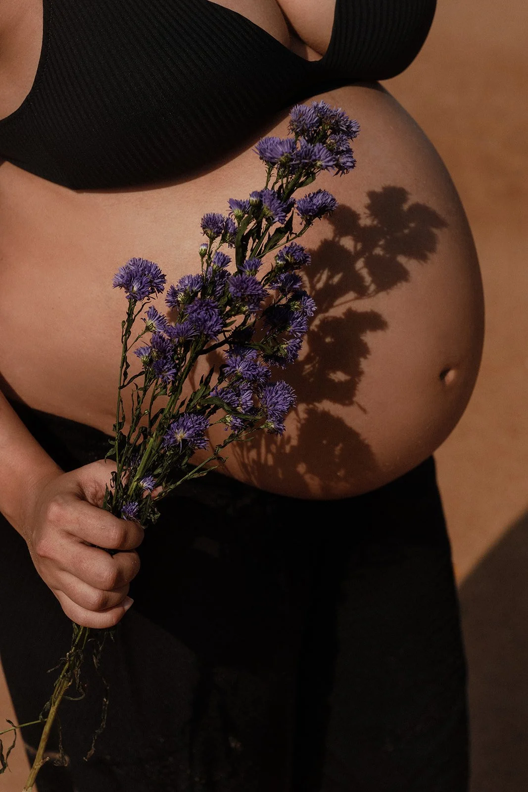 A pregnant mother holding a bouquet of purple flowers, Holding her belly and shadow of the flowers cast on their stomach.