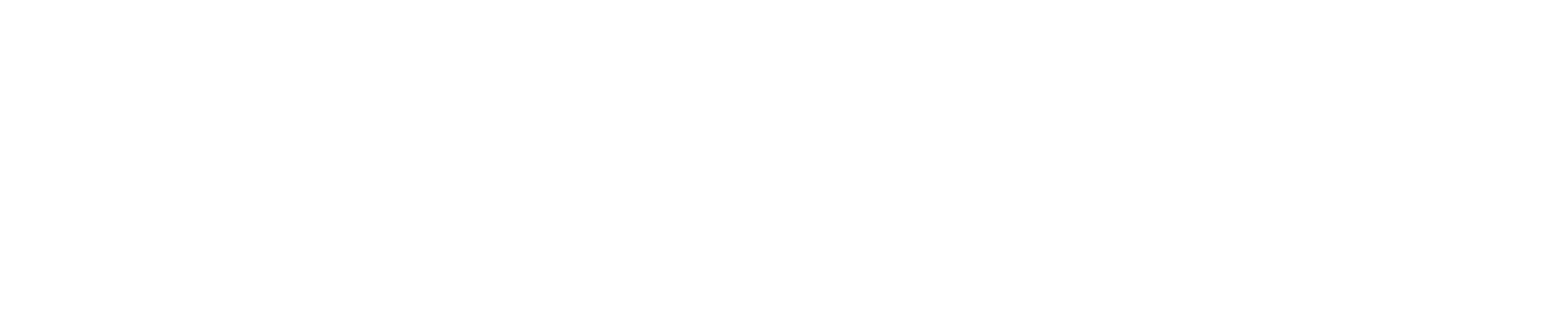 The logo of professional photographer Darius N Fernandes