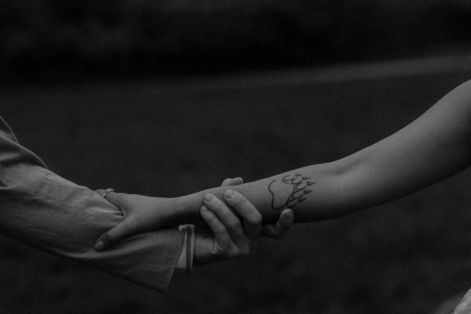 A photograph of a couple holding hands in a park Groningen, the Netherlands this was taken by the couple photographer Darius N Fernandes