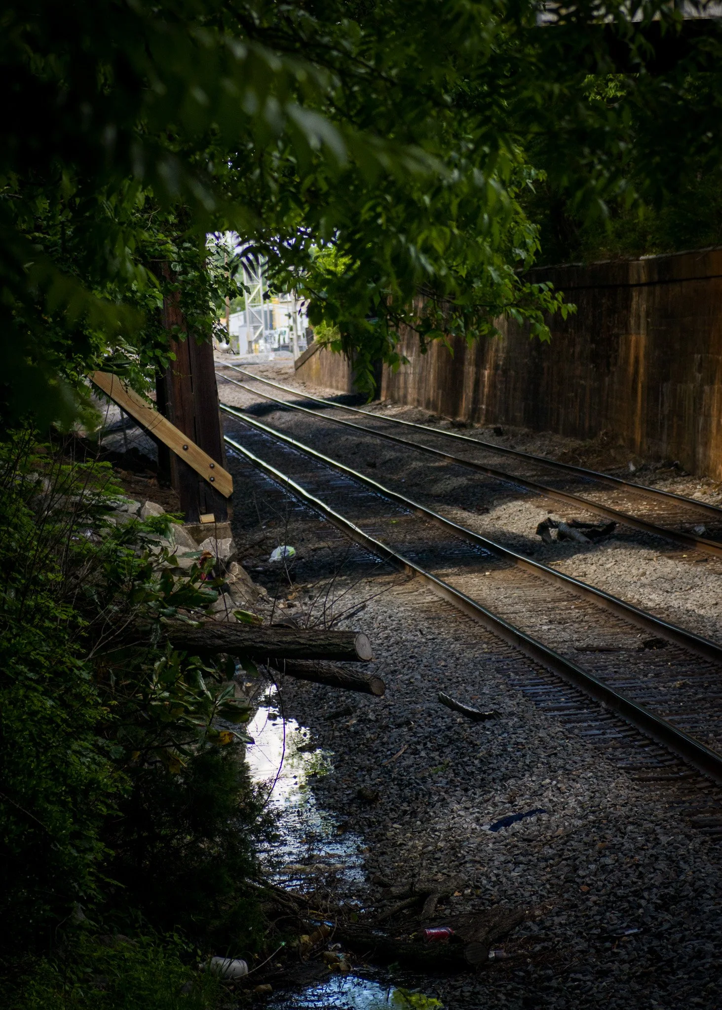 Beautiful scenes to open up the room