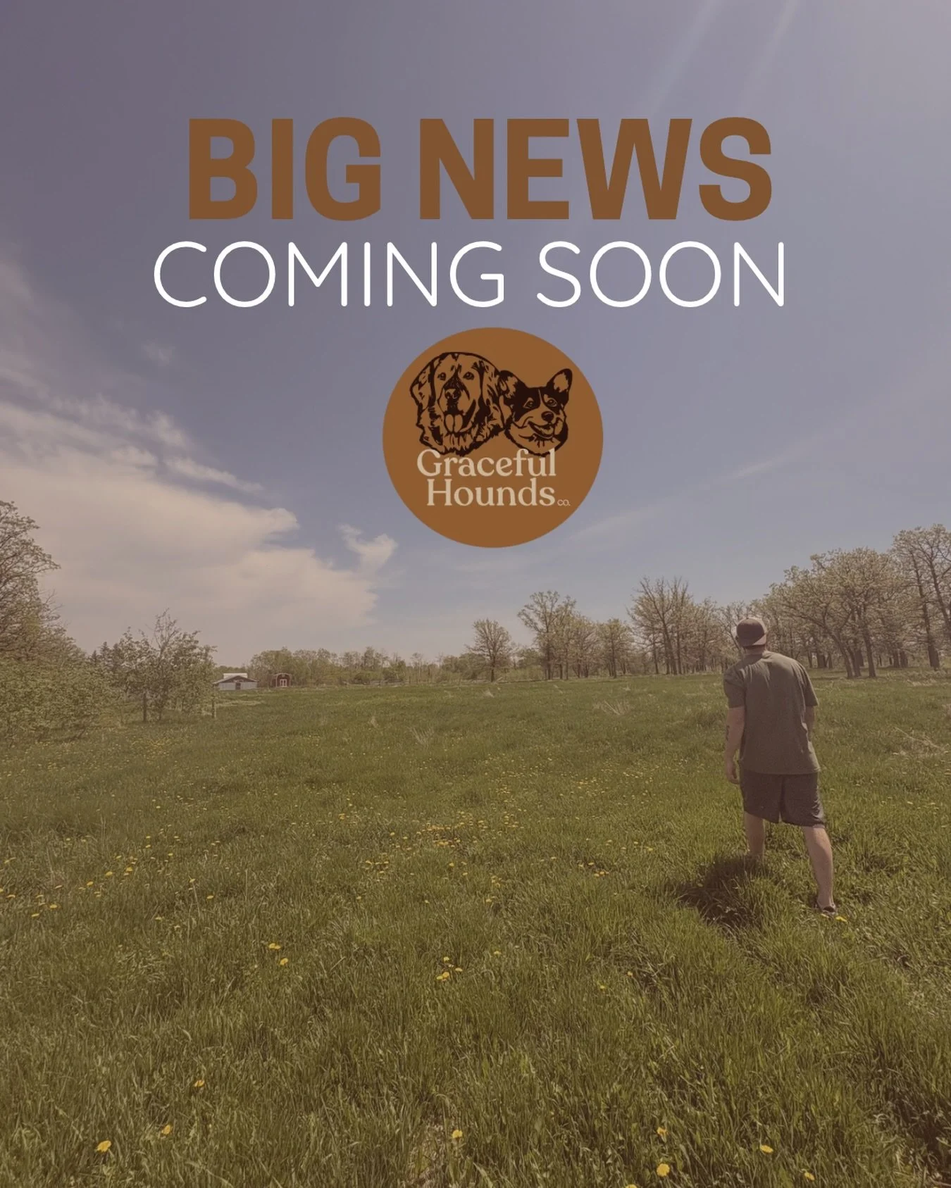 Something exciting is coming&hellip; 🤫🤭

We can&rsquo;t wait to finally let the secret out of the bag!
Stay tuned! 🤍✨🌾