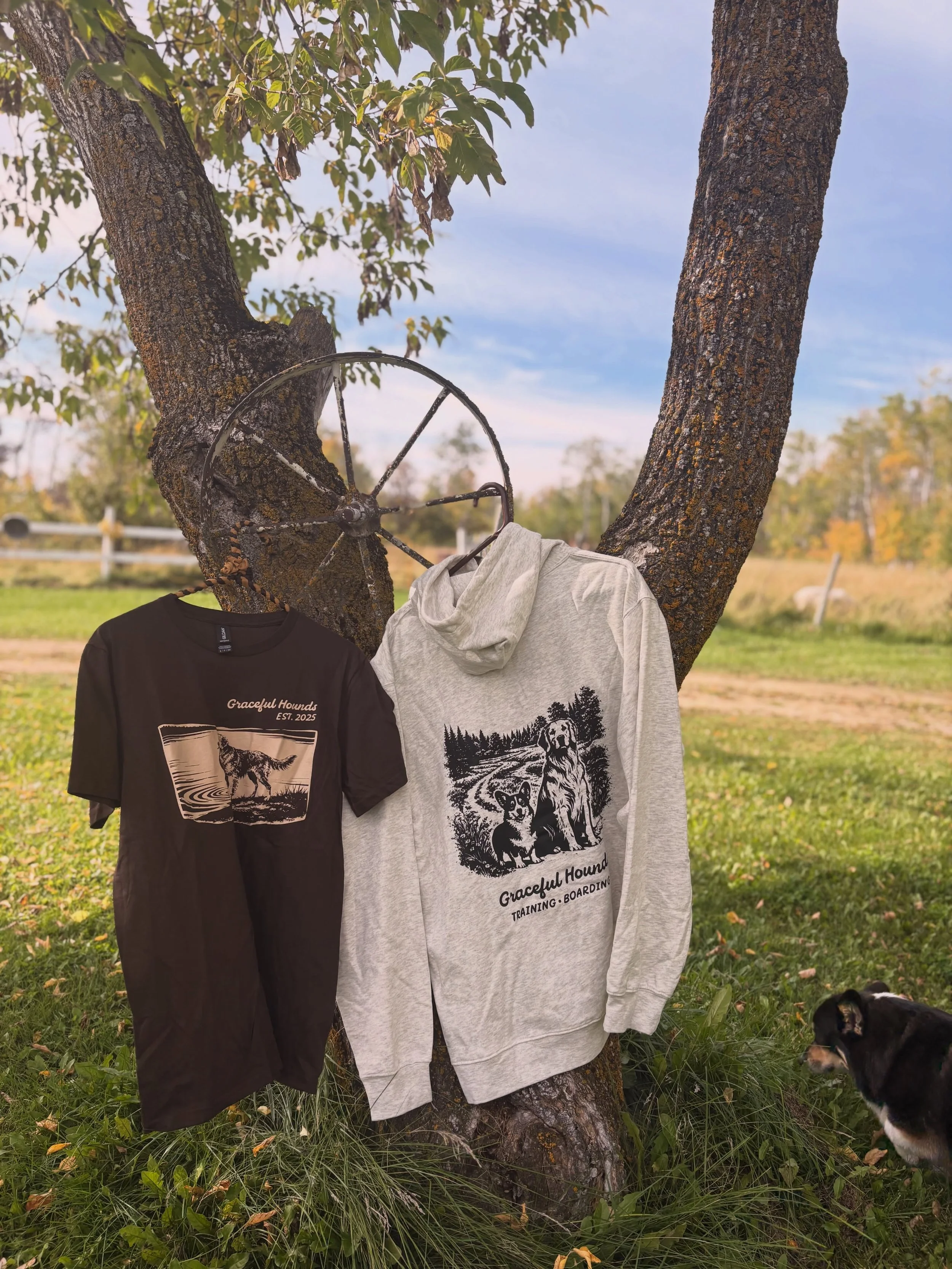 Fall merch clean-out! 🍂🍃🌾

I&rsquo;m making a little room for fall and winter inventory, so the last of our current merch is on sale!

🤎 T-shirts: $30 each or 2 for $50
Regularly $45! All remaining sizes are available in the Leo, Conway and EZ de