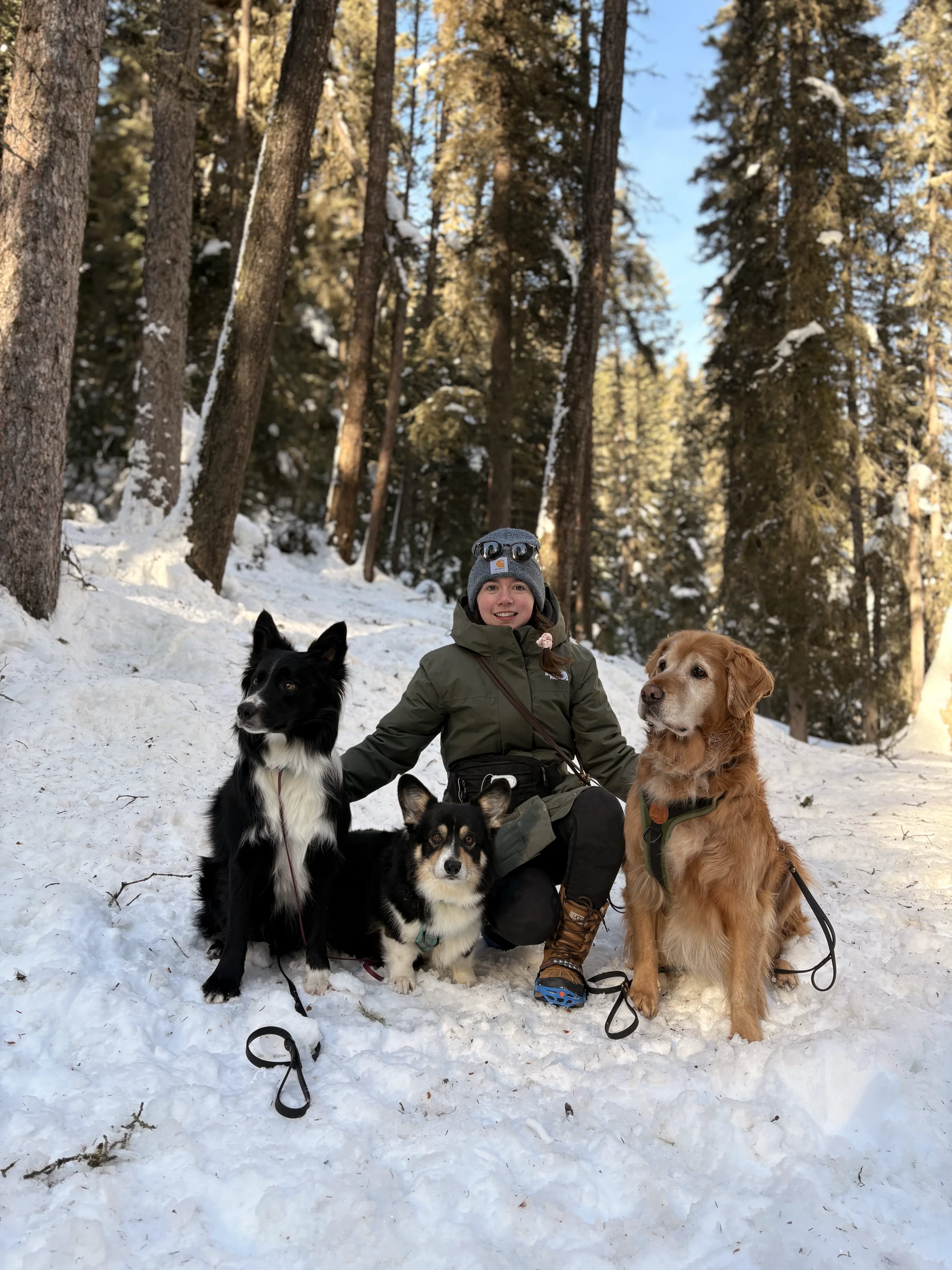 A woman in a winter coat and hat kneeling in snow with three dogs in a forest with tall trees and blue sky.