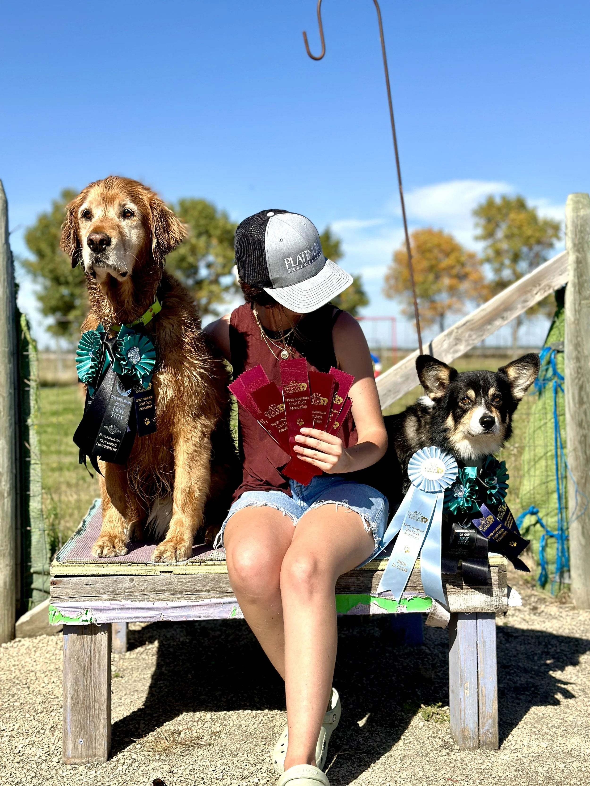 A woman sitting on a wooden platform with two dogs, one on each side, with ribbons and awards, under a blue sky with trees in the background.