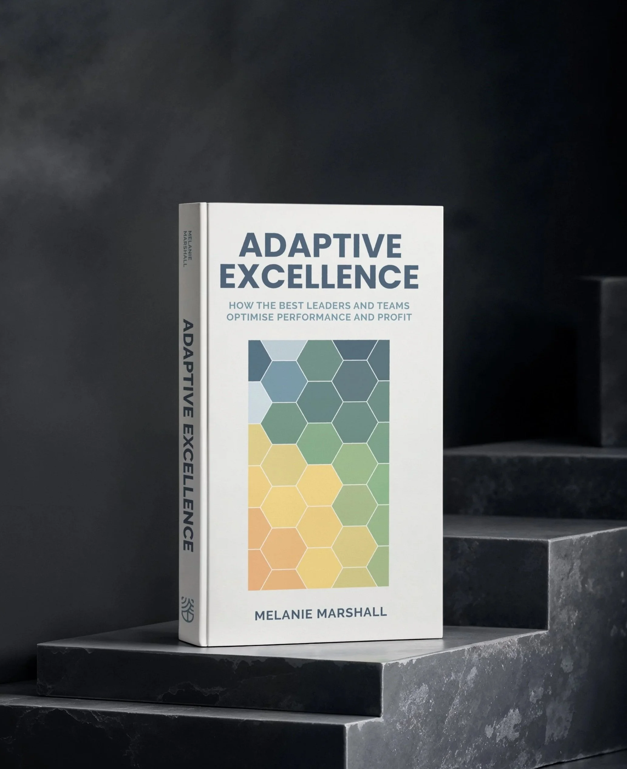 Photo of Adaptive Excellence book cover