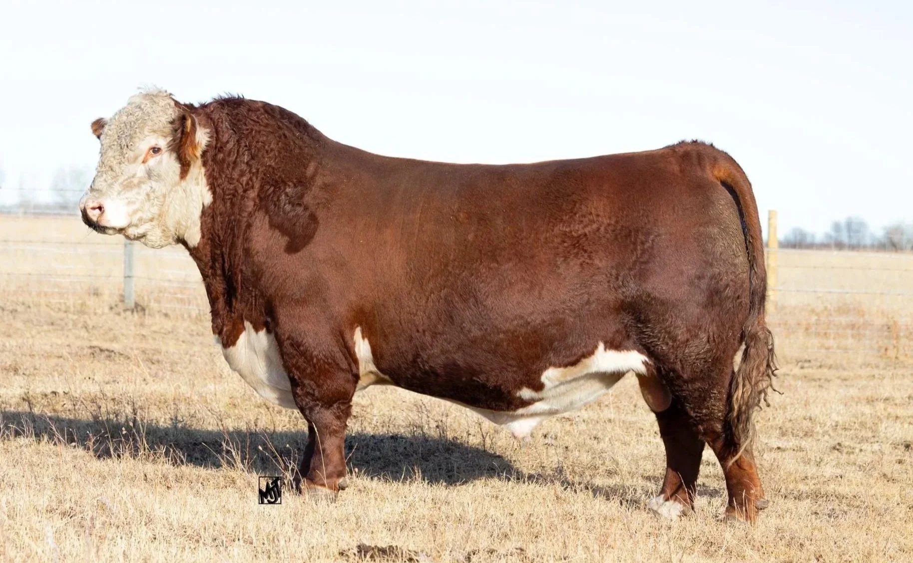 PCL 4013 Kevlar ET 81K