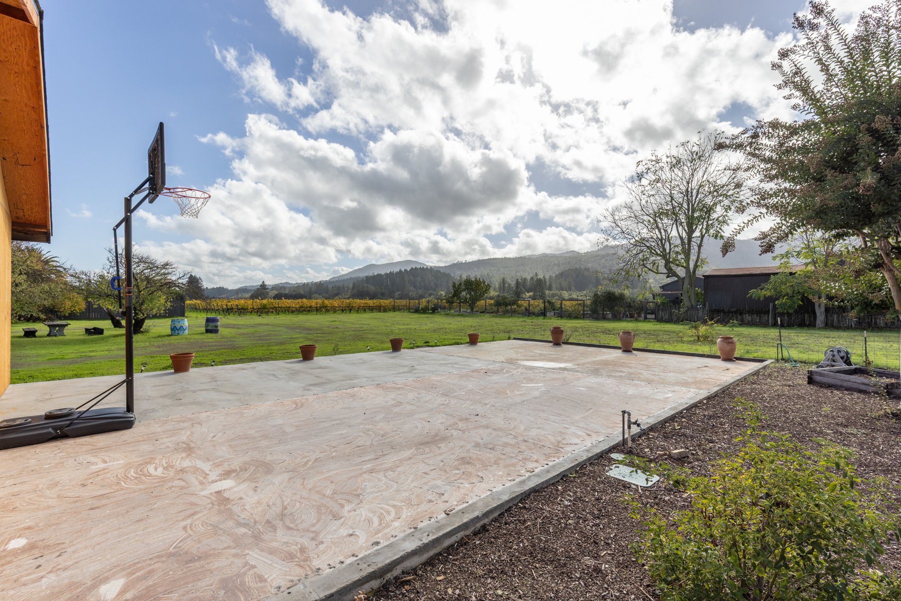 A backyard with a concrete patio, potted plants lined up along the edge, a basketball hoop to the left, green grass, trees, and mountains under a partly cloudy sky.