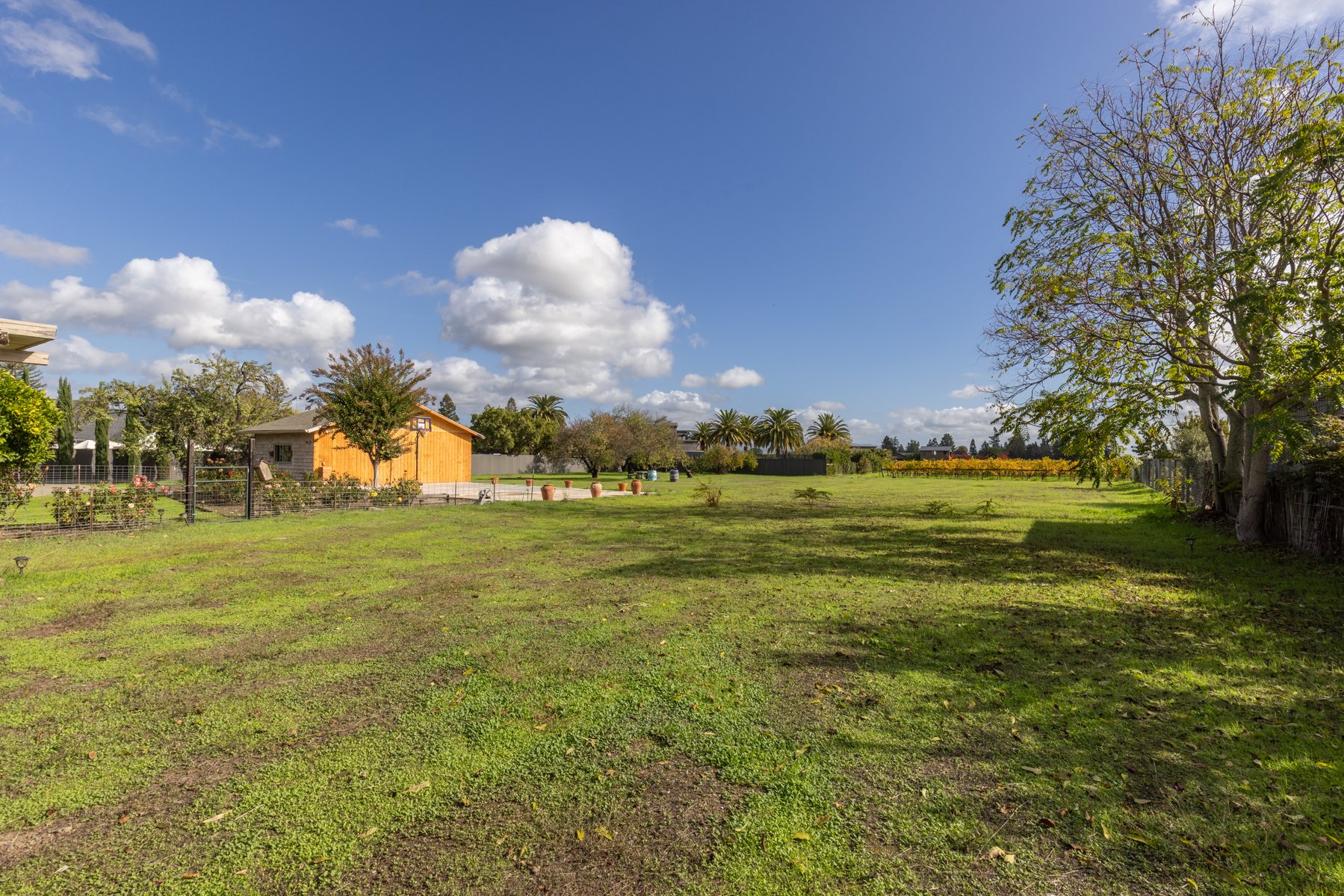 A sunny backyard with green grass, a few trees, a small wooden shed, and a fence. The sky is blue with scattered white clouds.
