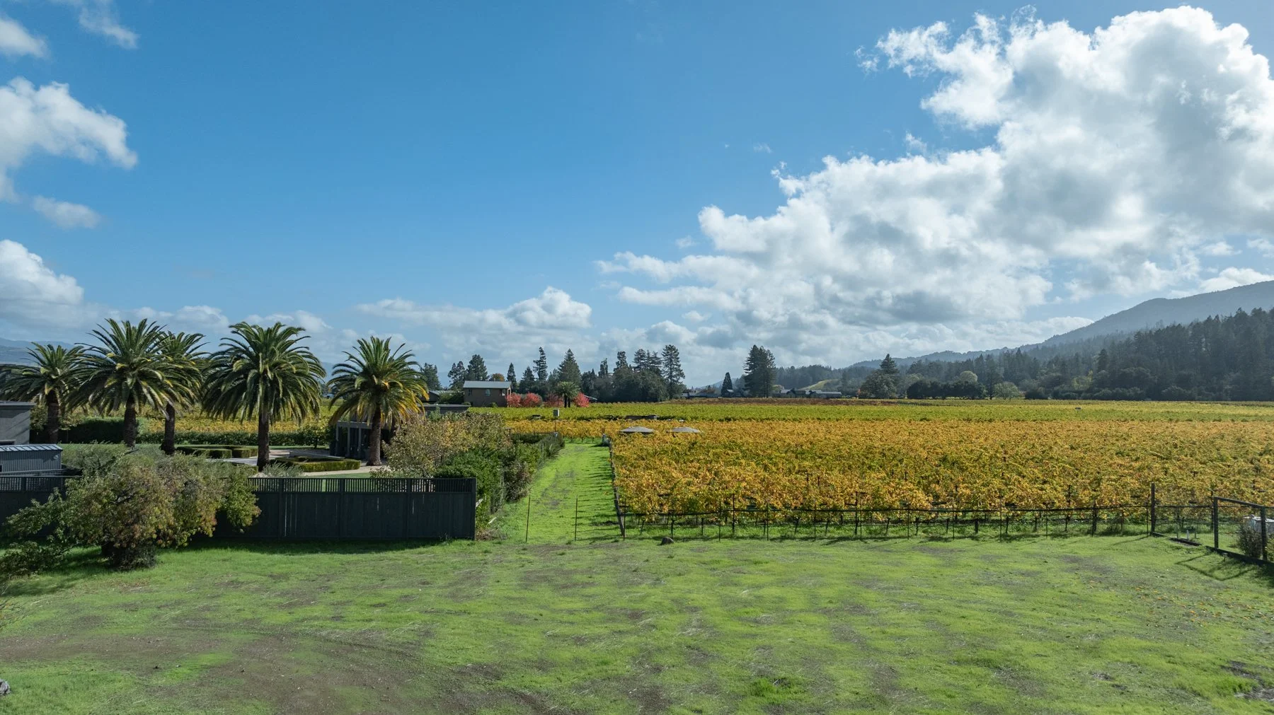 A scenic landscape of a farm with palm trees, green fields, and a vineyard under a partly cloudy sky, with distant mountains.