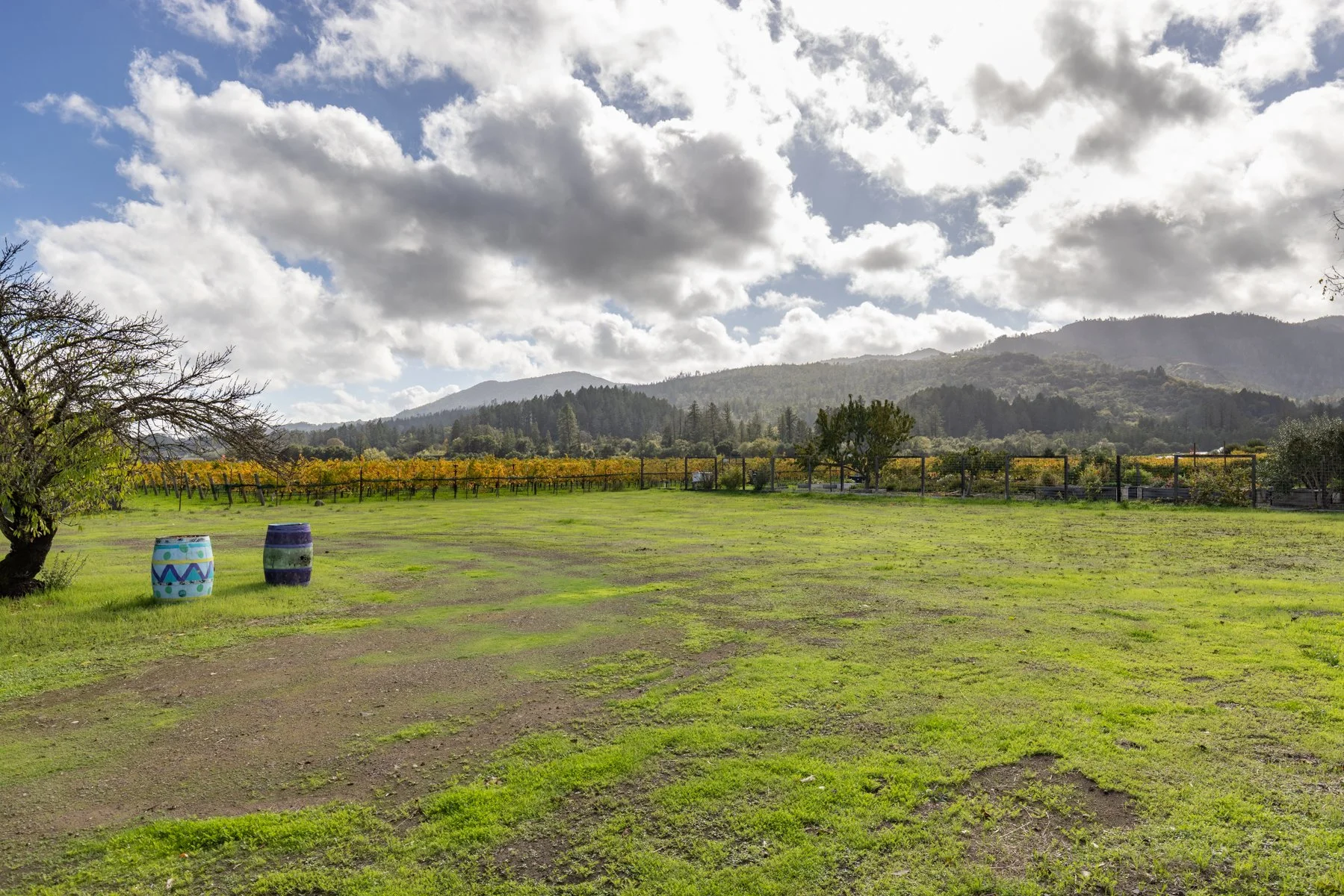A scenic view of a green grassy field with two colorful painted barrels on the left, a tree on the far left, a wooden fence in the middle ground, and rolling hills with trees and a vineyard in the background under a partly cloudy sky.