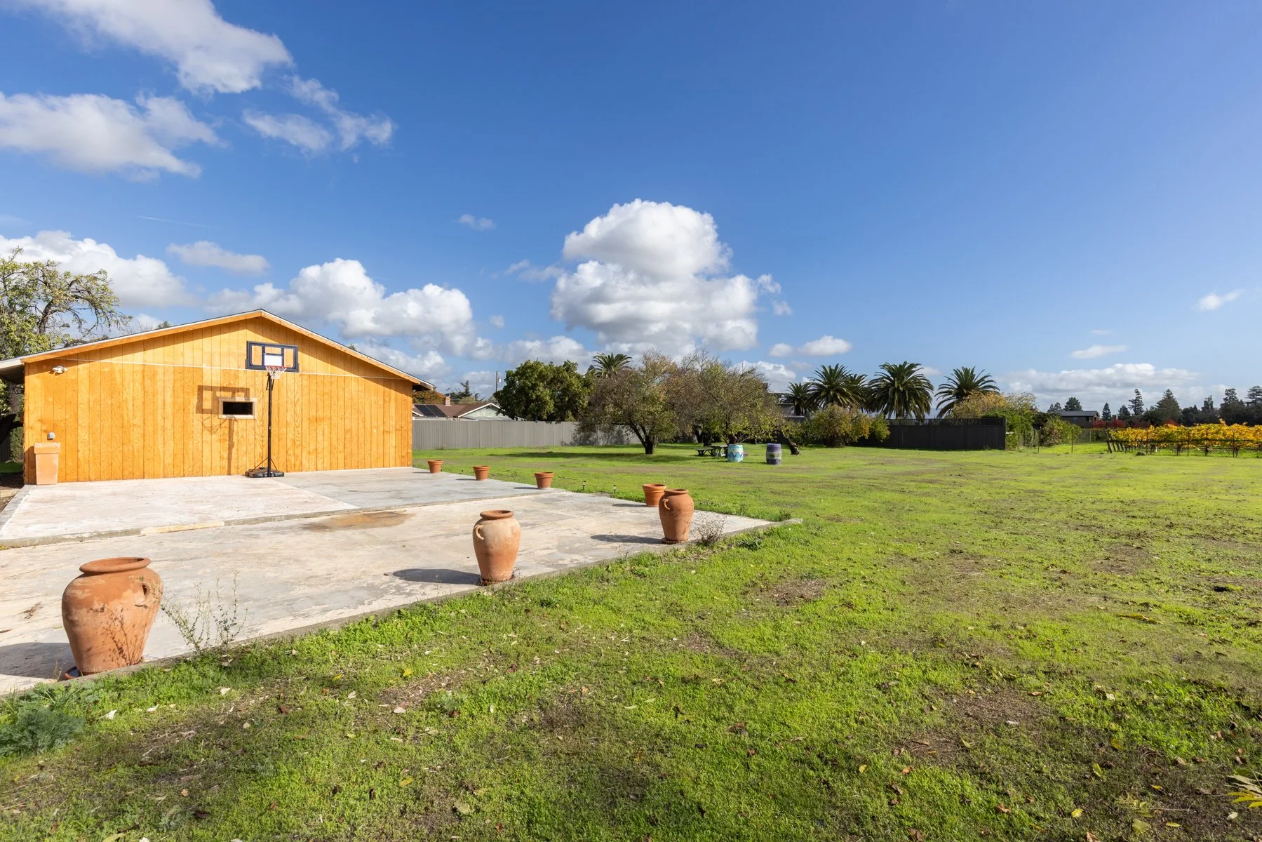 A spacious backyard with a wooden shed, a basketball hoop, large clay pots, green grass, trees, and a clear blue sky with fluffy white clouds.