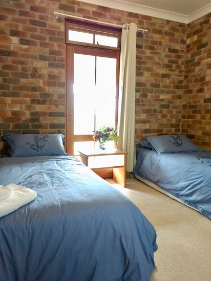 Two blue beds with pillows and a blanket in a room with brick walls, a window with curtains, and a small bedside table with a potted plant.