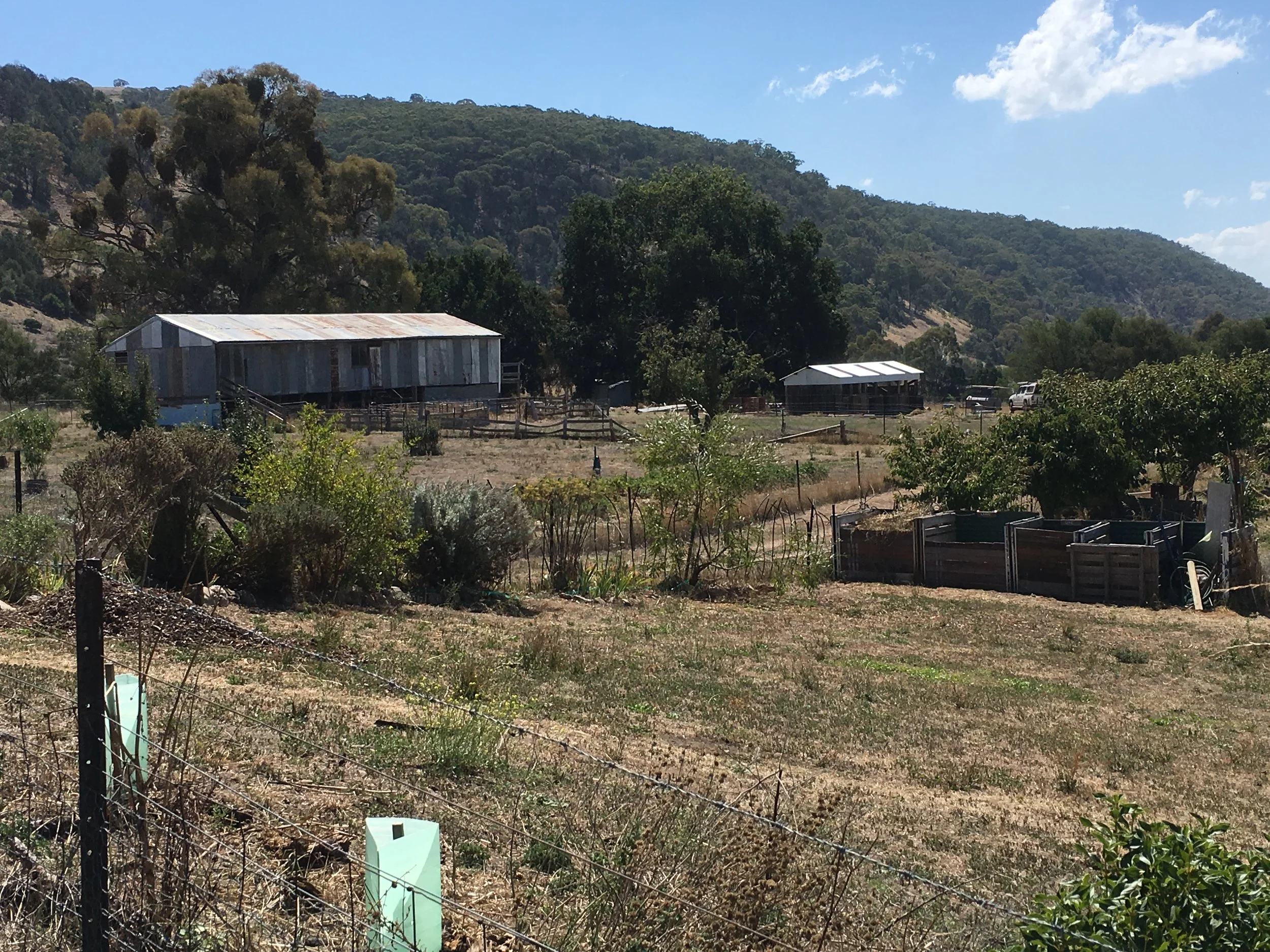 A rural landscape with hills covered in trees and a clear blue sky with some clouds. There are two weathered, metal-sided buildings and a fenced area in the foreground, with scattered plants and debris.