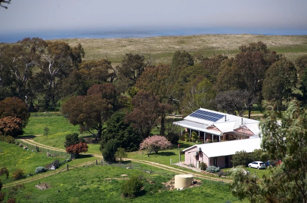A house with solar panels on the roof situated in a lush green landscape with trees, a grassy area, and distant ocean in the background.