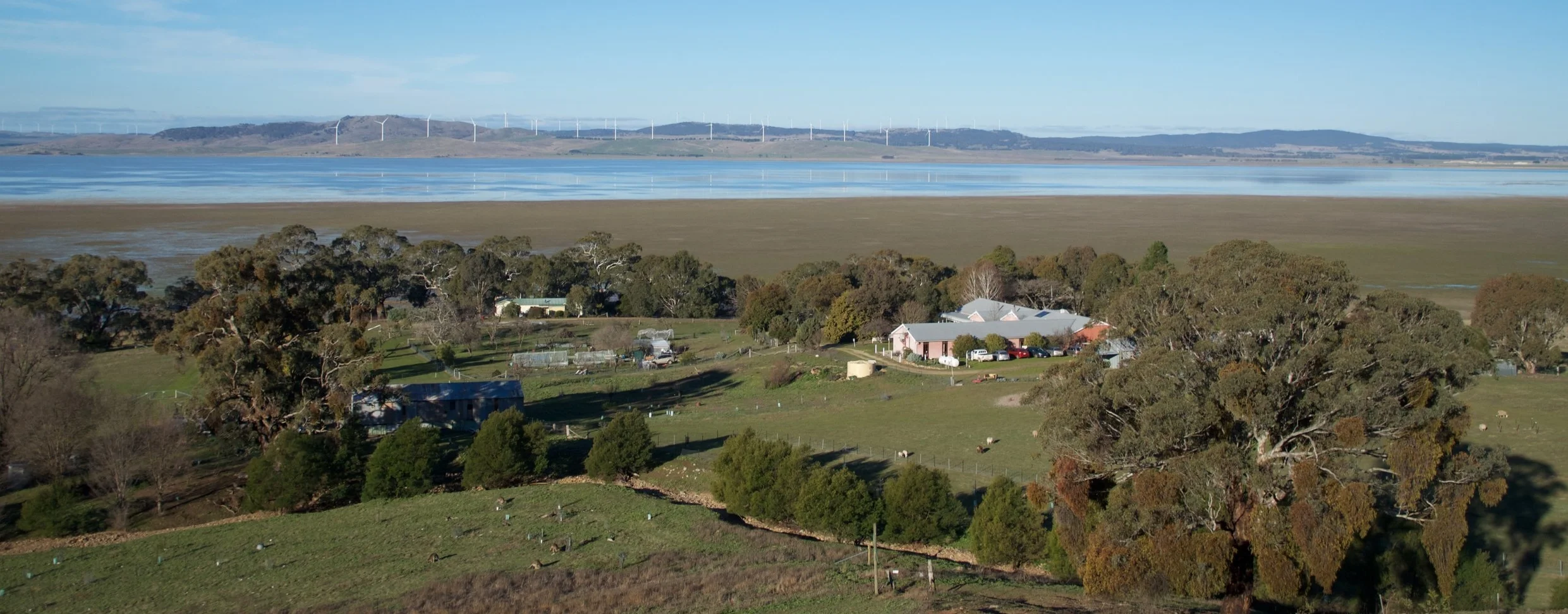  Aerial view of the homestead 