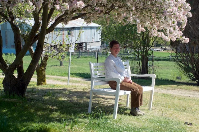 Person sitting on a white bench under blossoming cherry trees in a rural backyard during daytime.