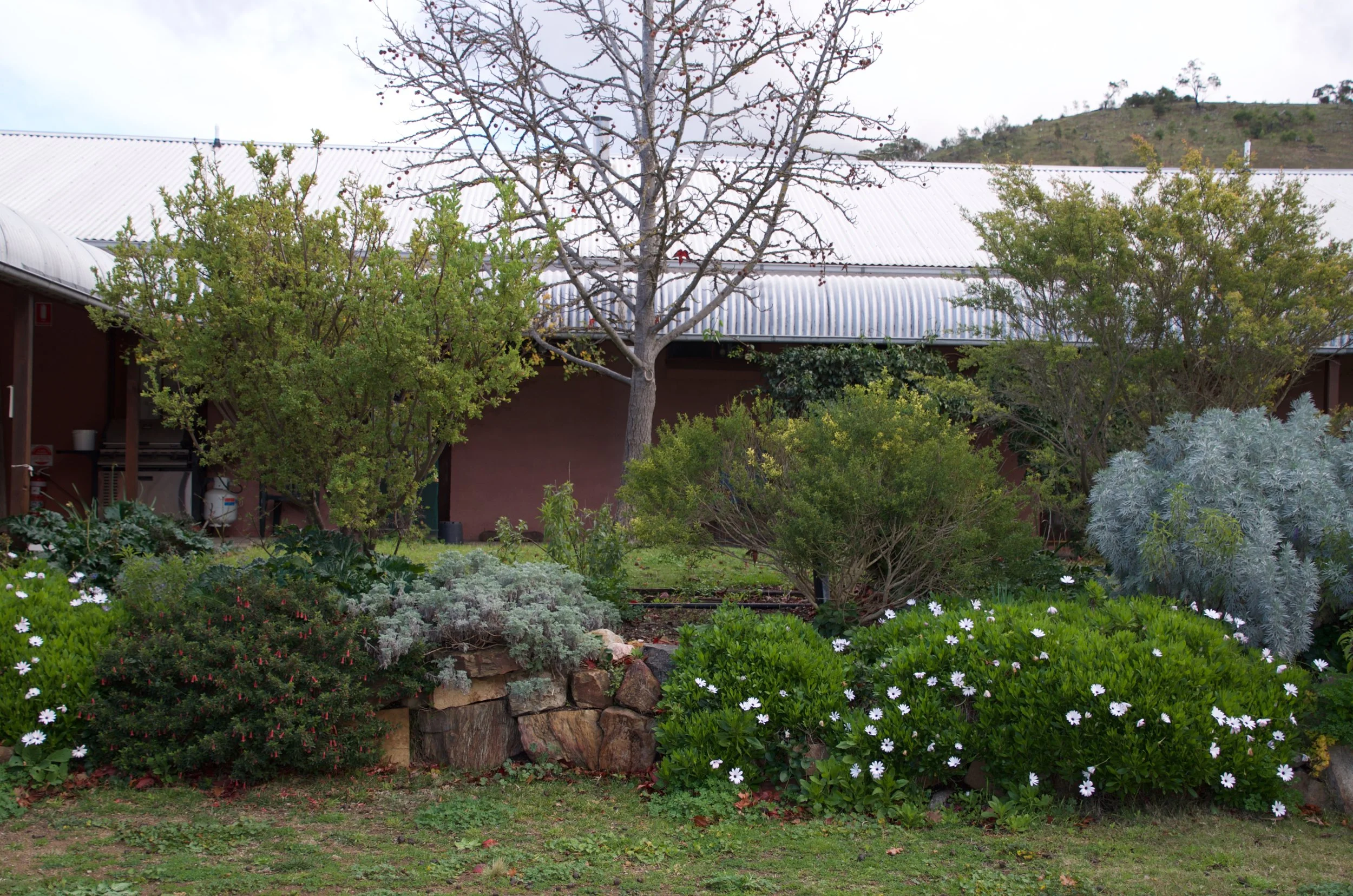  Homestead Garden 

 

 The homestead offers beautiful places to sit and contemplate nature. 