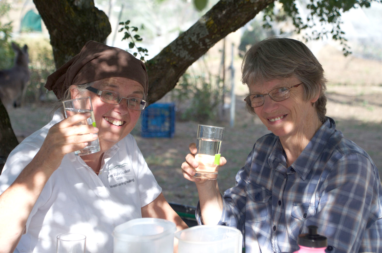 Two women are sitting outdoors under a tree, holding glasses of water and smiling at the camera. One woman wears glasses and a brown headscarf, while the other has short gray hair and glasses. There is a donkey blurred in the background.