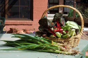  Food Policy 

 

 Our food policy is to source locally-grown, organic produce as far as possible. We have a farm manager who is developing our orchards and gardens to be self-sustaining by 2020. We cater for most diets and food allergies. Contact us
