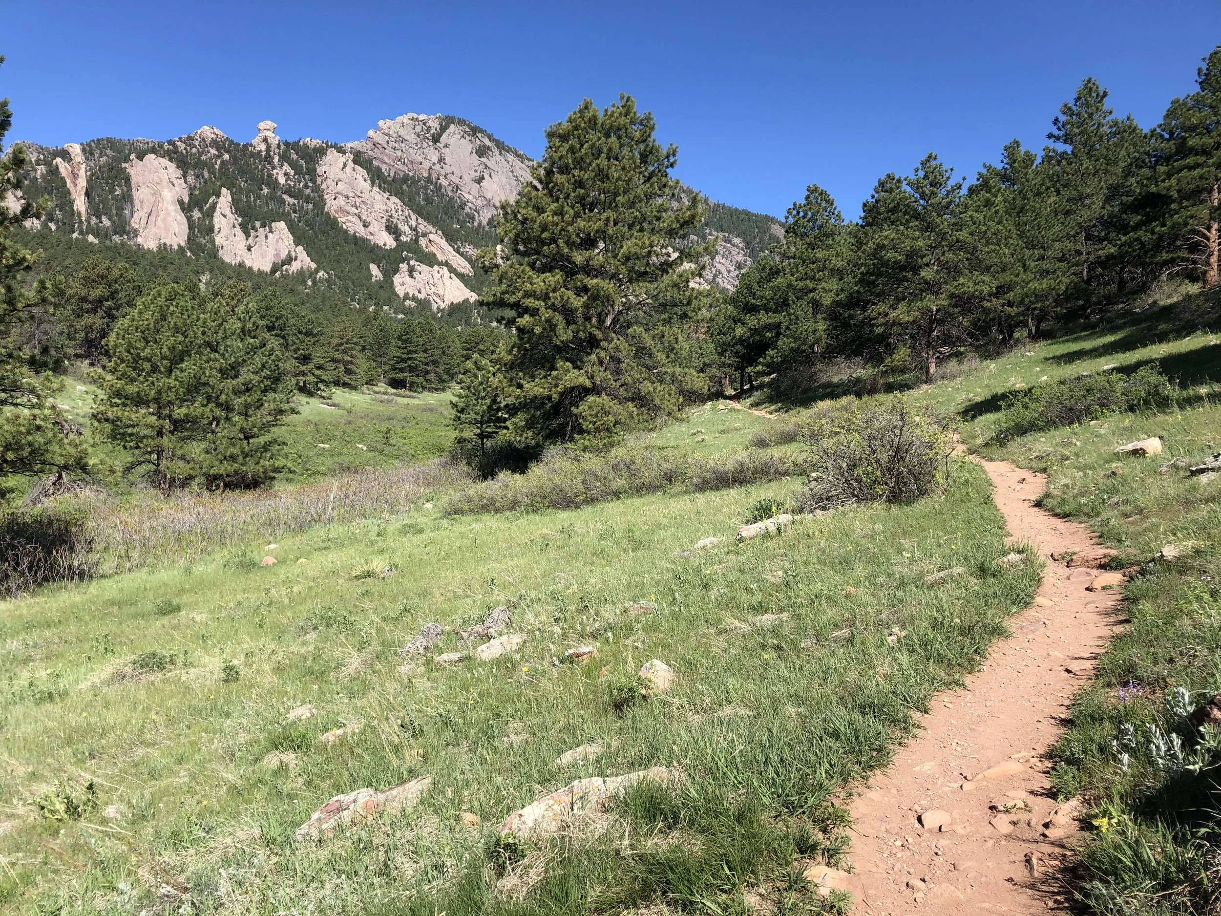 mesa trail path.jpg