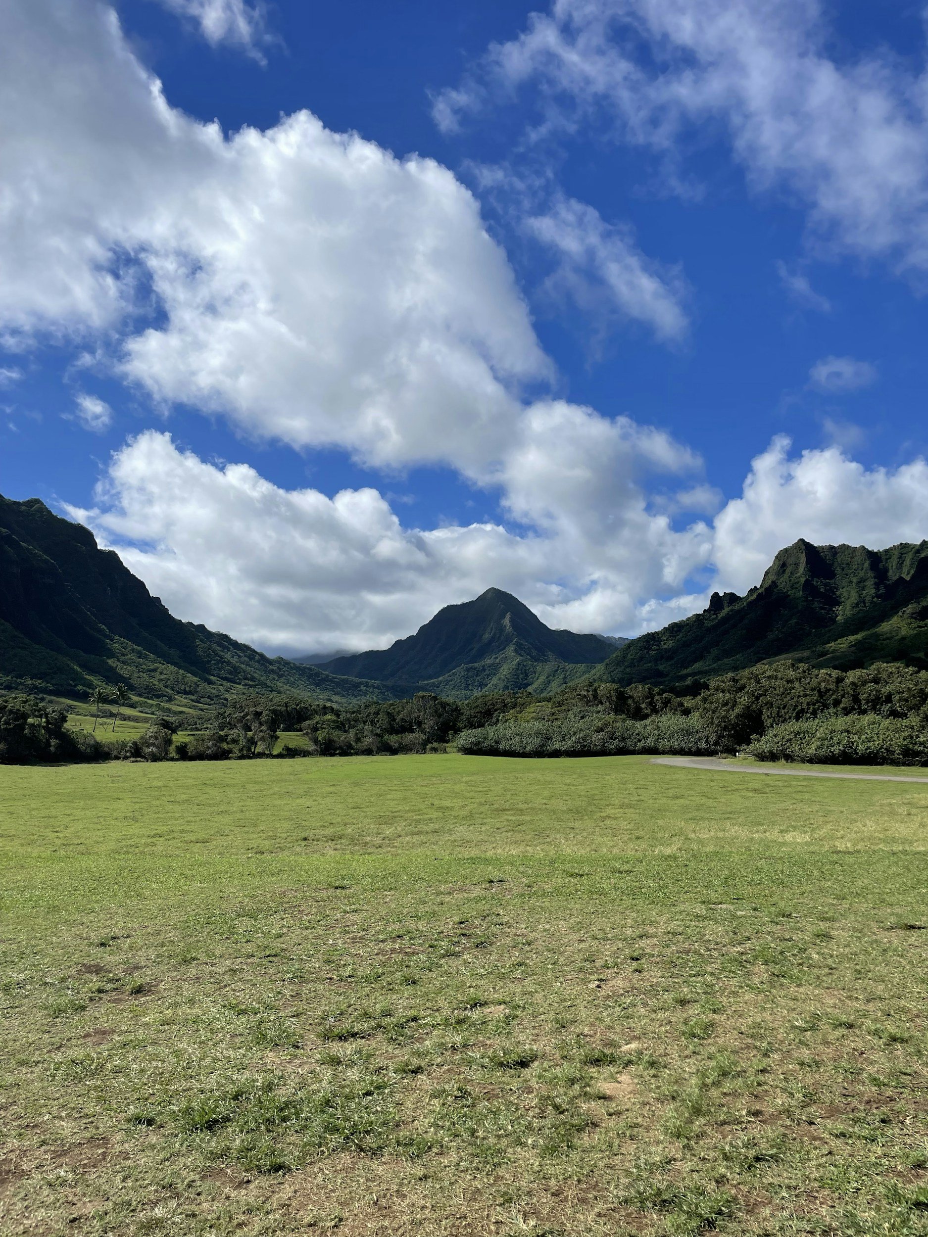 GOVERNMENT TRANSPARENCY & ACCOUNTABILITY