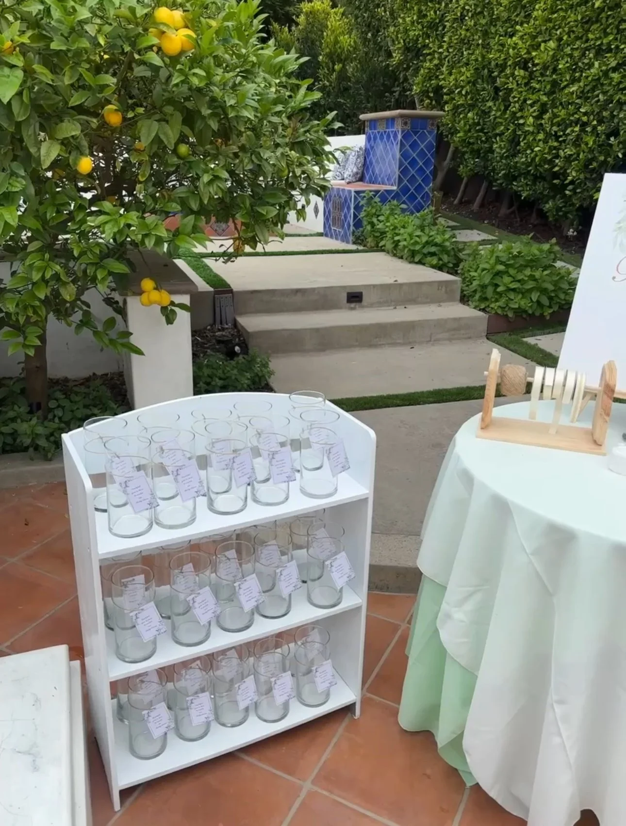 The Bloom Bar glass vases.jpg