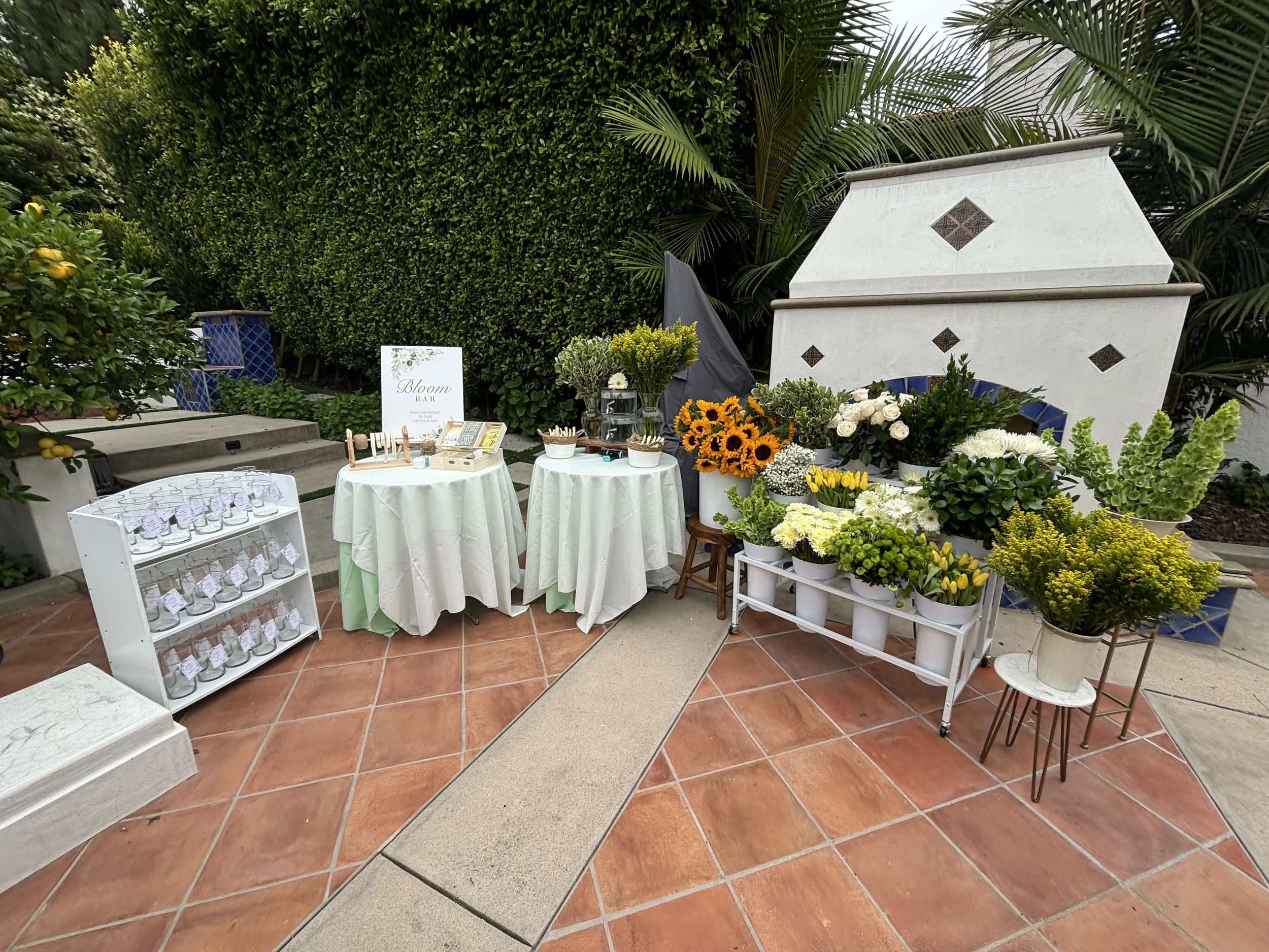 The Bloom Bar wide shot.jpg