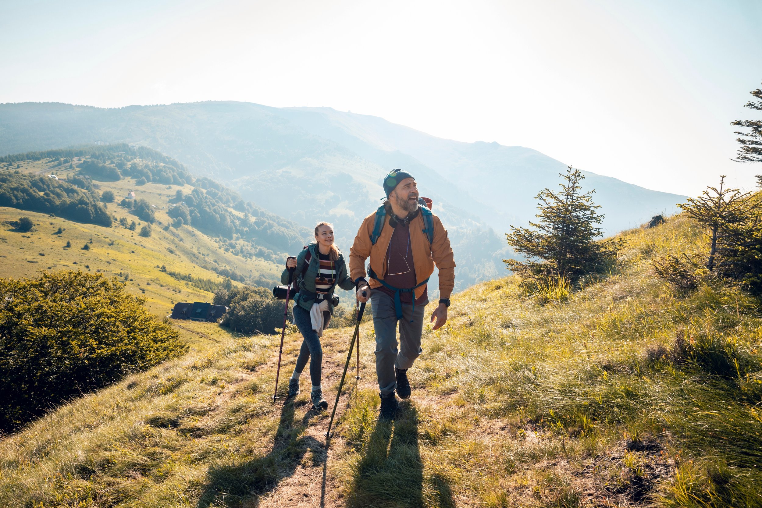 Do We Have Any Control Over Joint Pain?